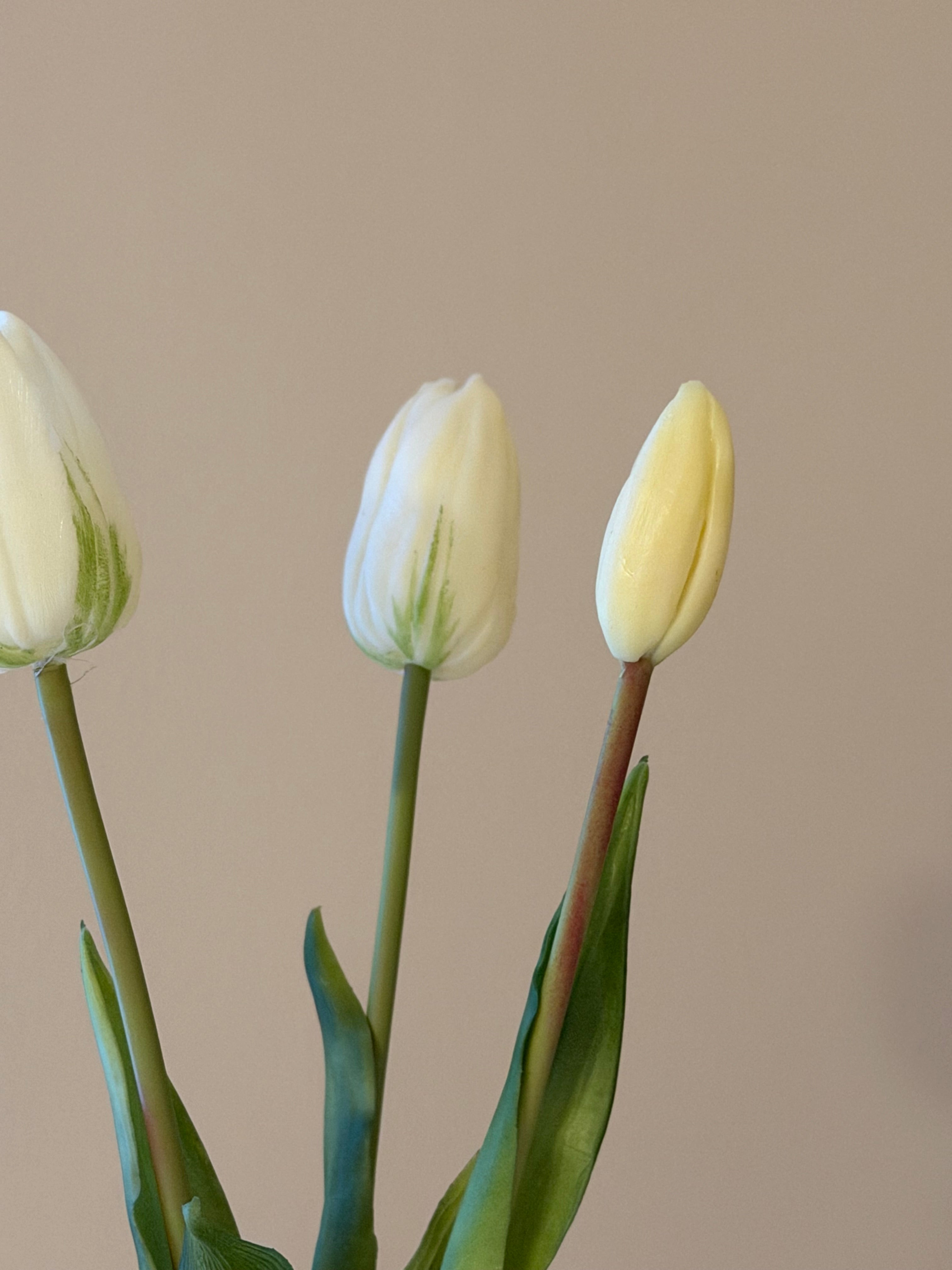 Lang tulipan bundt m. 3 stk