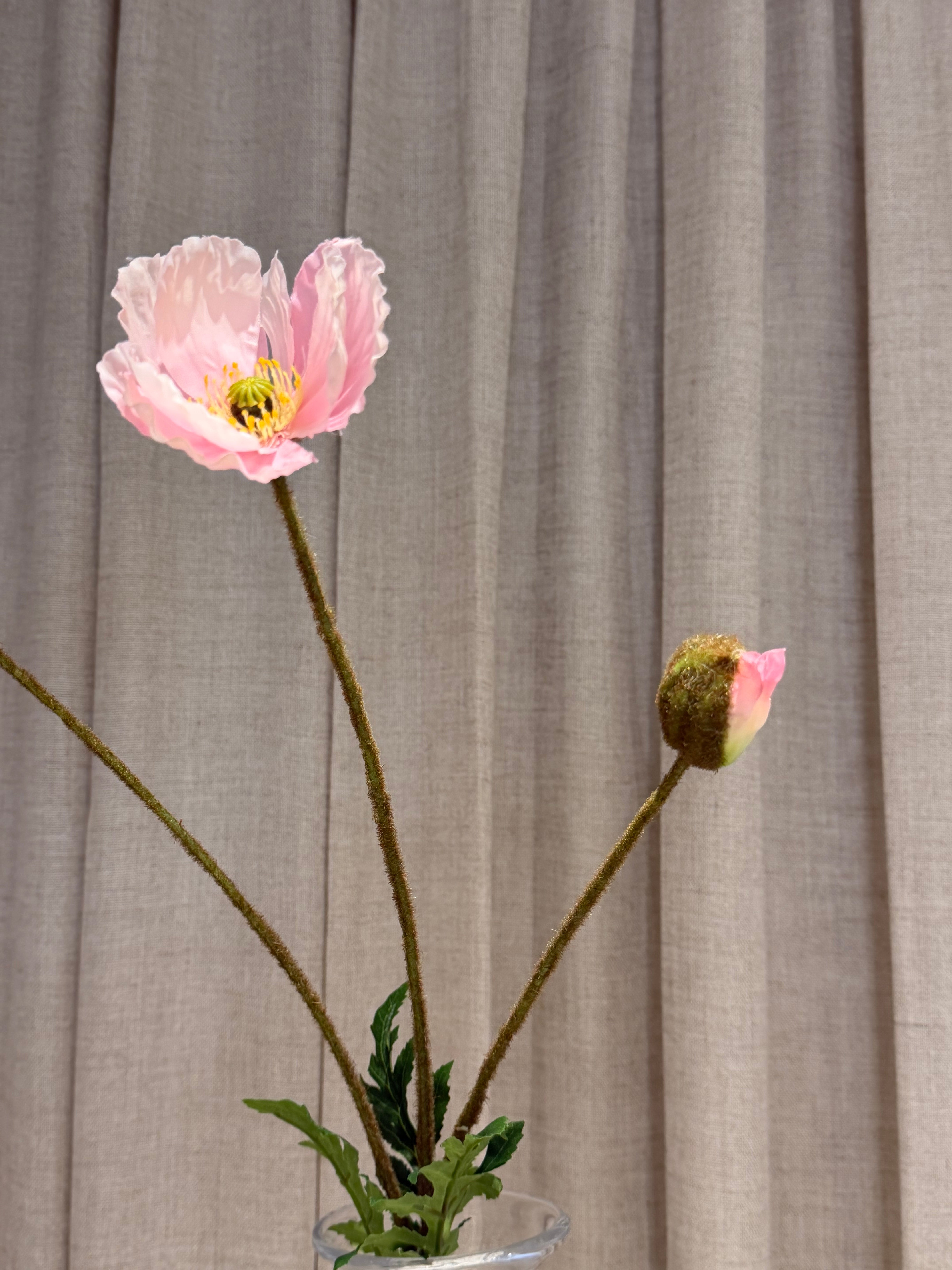 Valmue 80cm