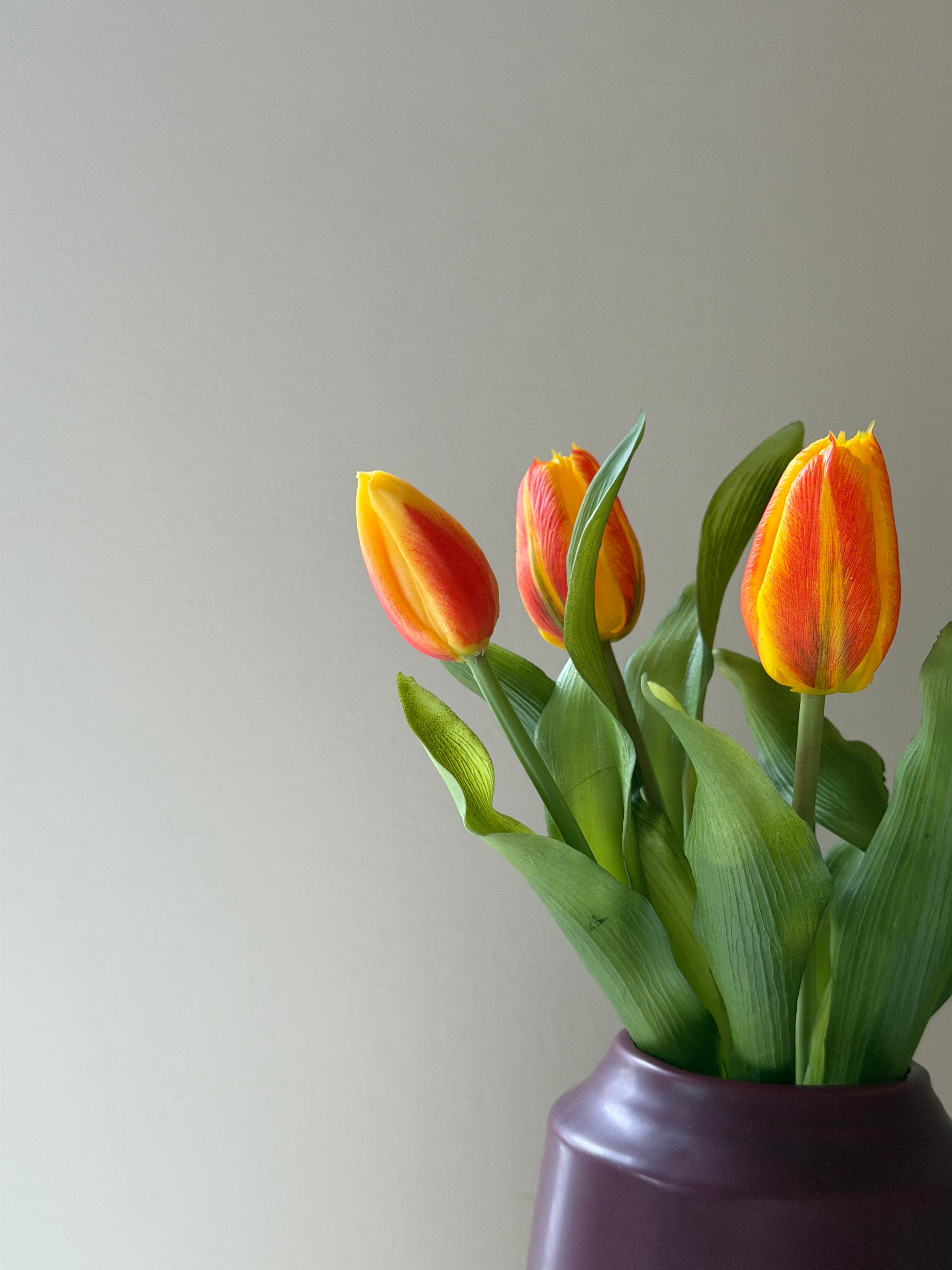 Tulipan bundt m. 5 stk