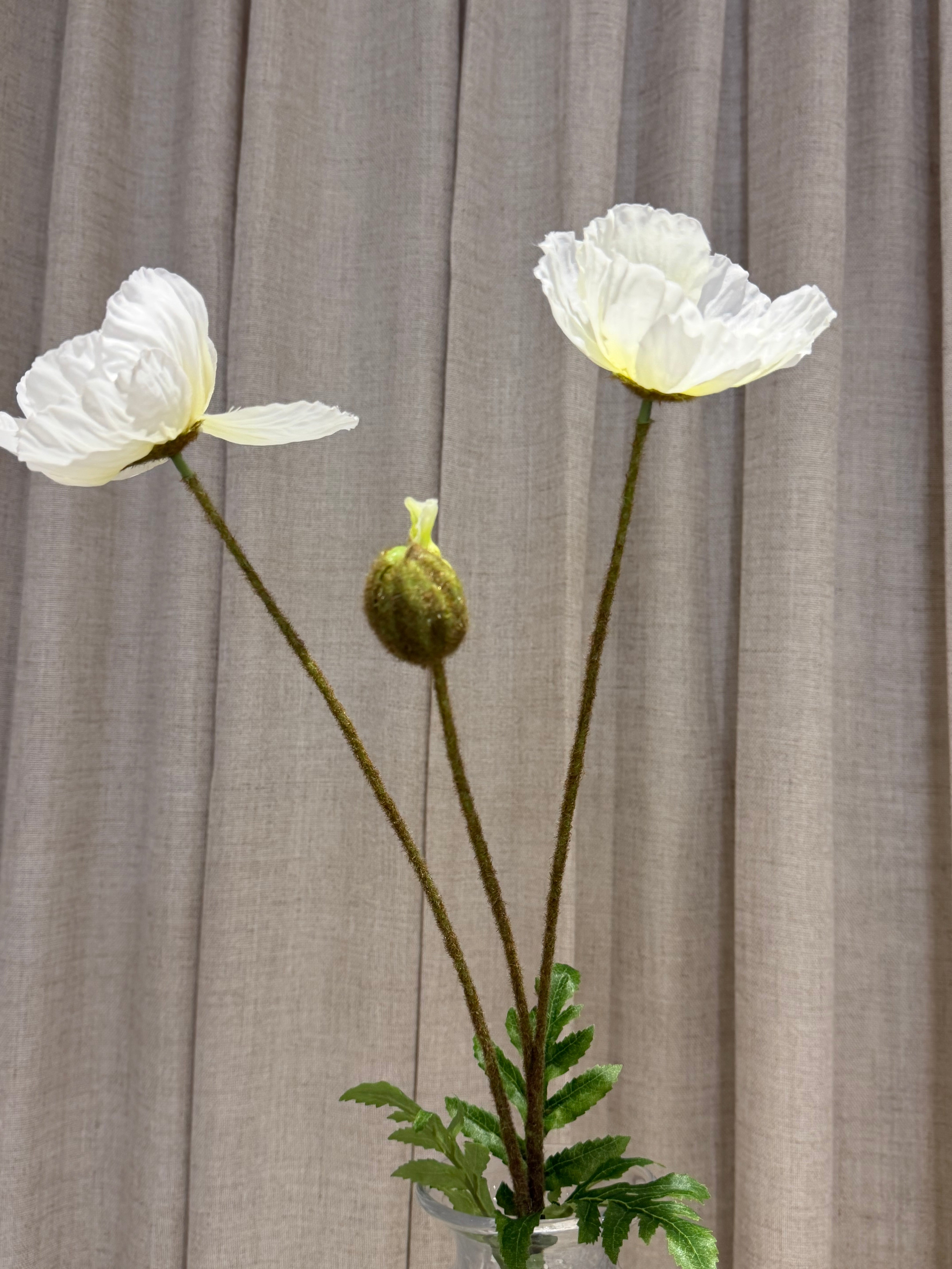 Valmue 80cm