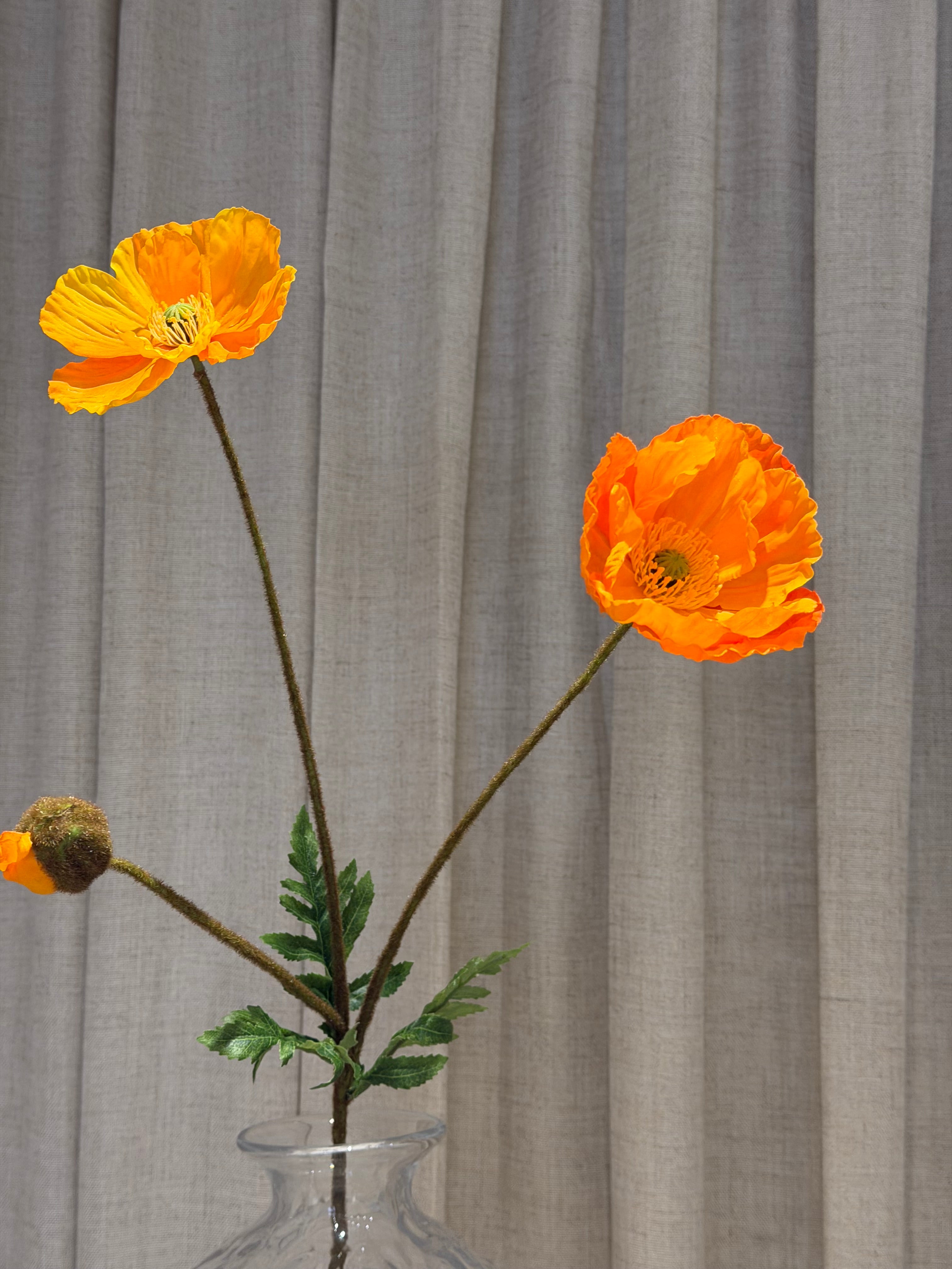 Valmue 80cm