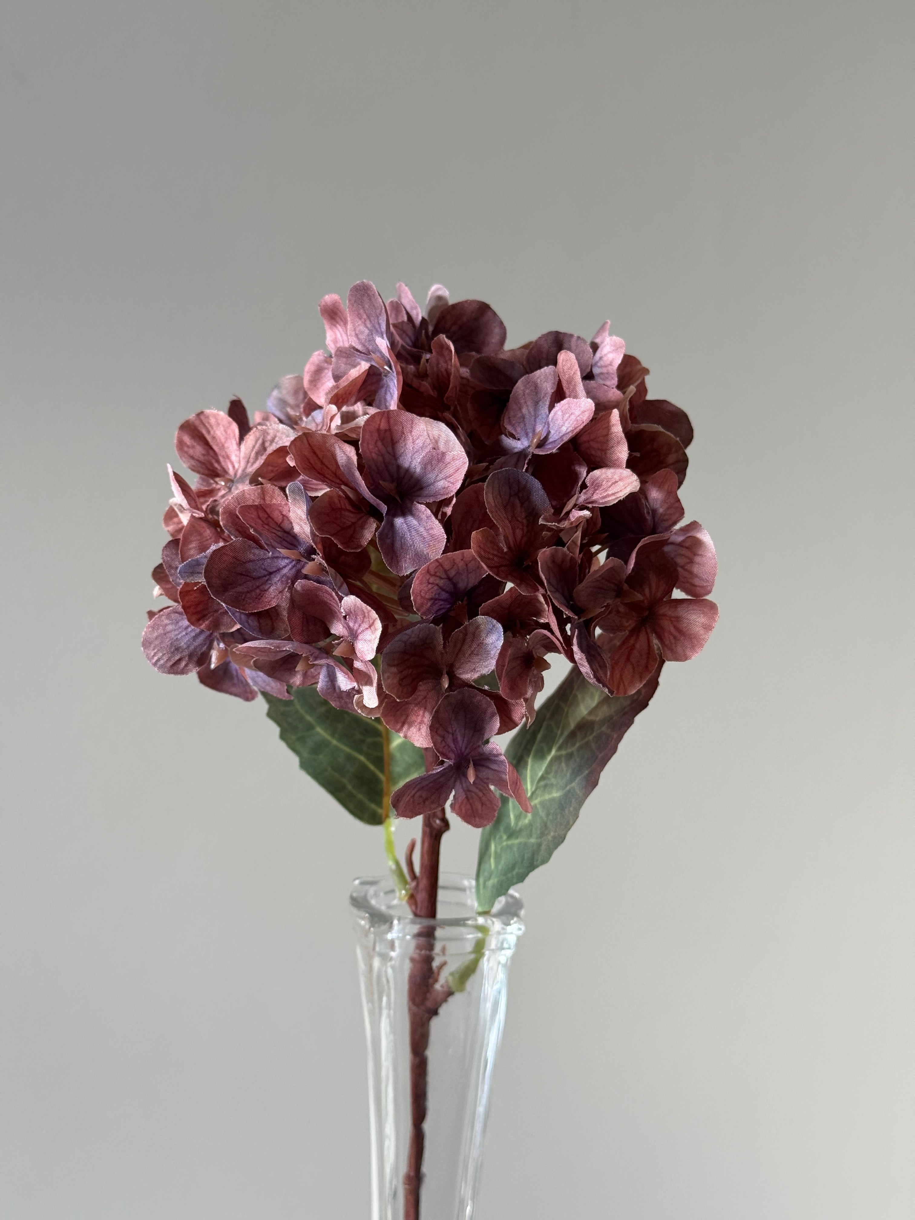 Lilla multifarvet lilla Hortensia