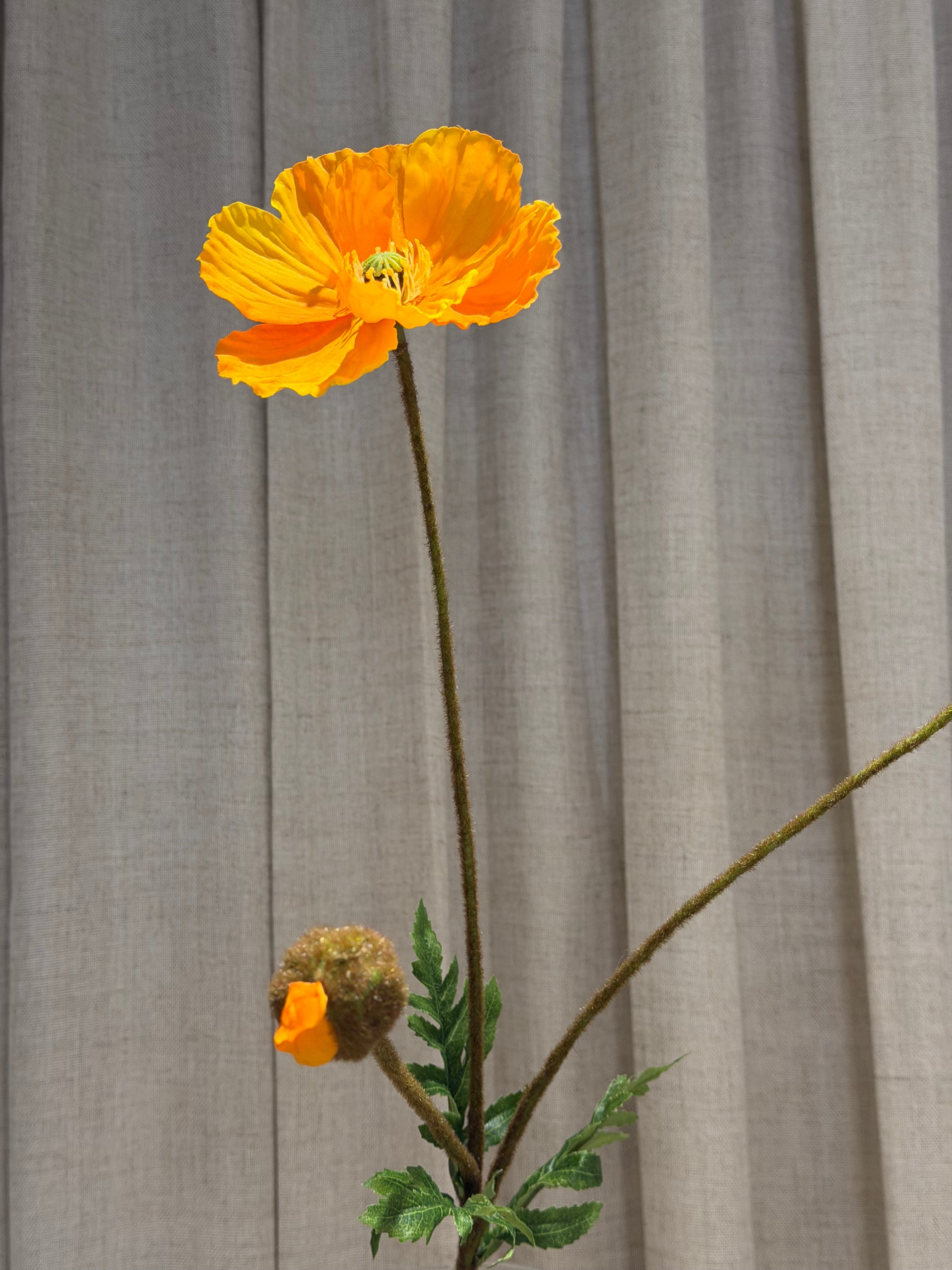 Valmue 80cm
