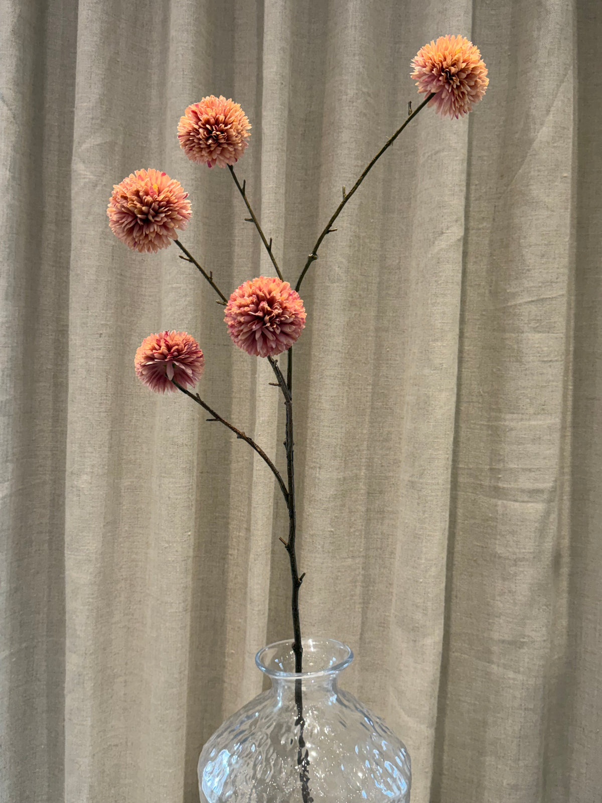 Chrysantheum Gren Rosa H99cm