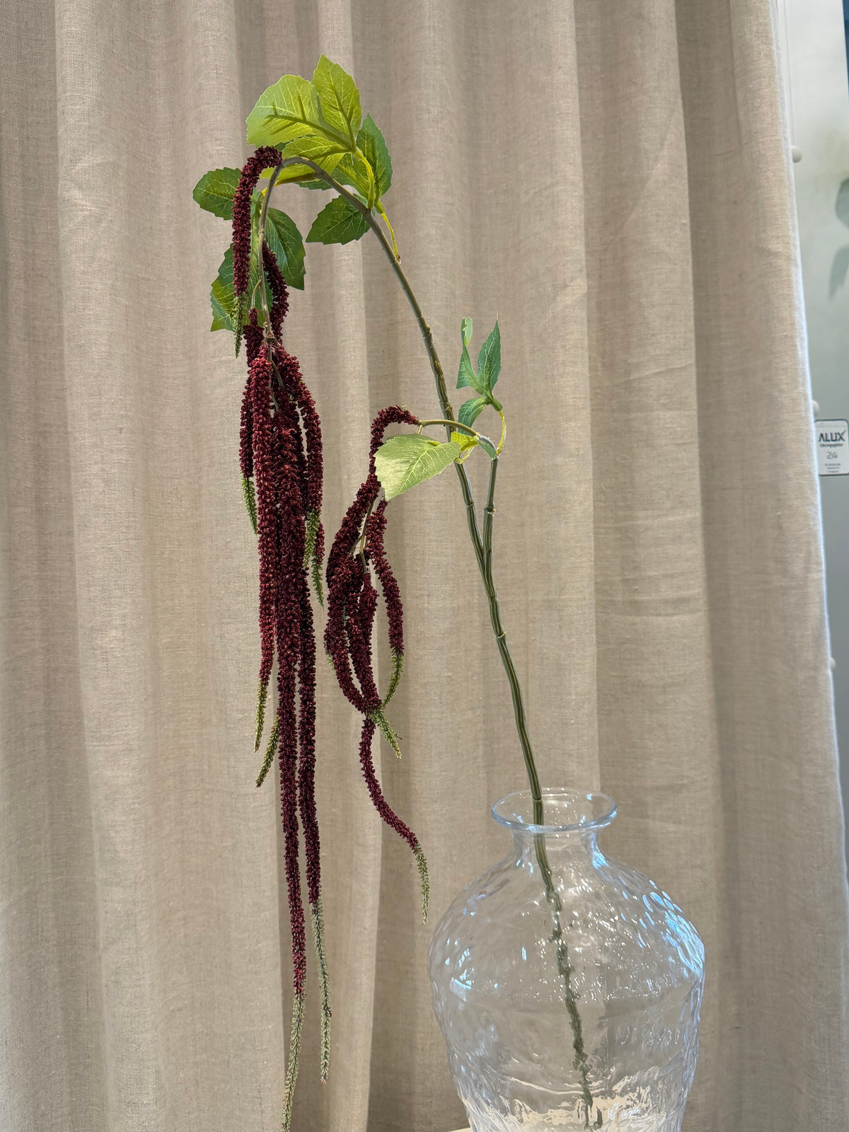 Hænge Amaranthus 85cm Bordeaux