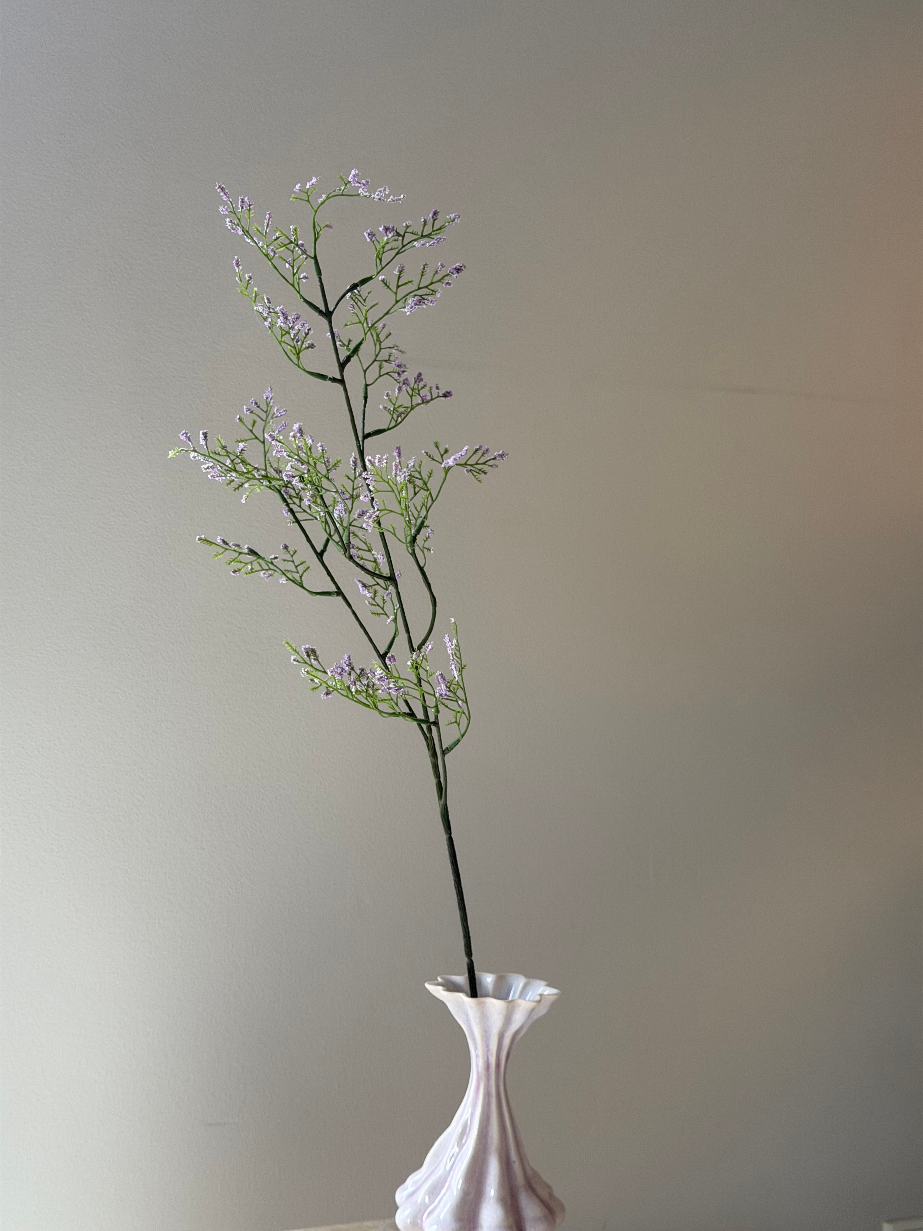 Limonium gren lys lilla