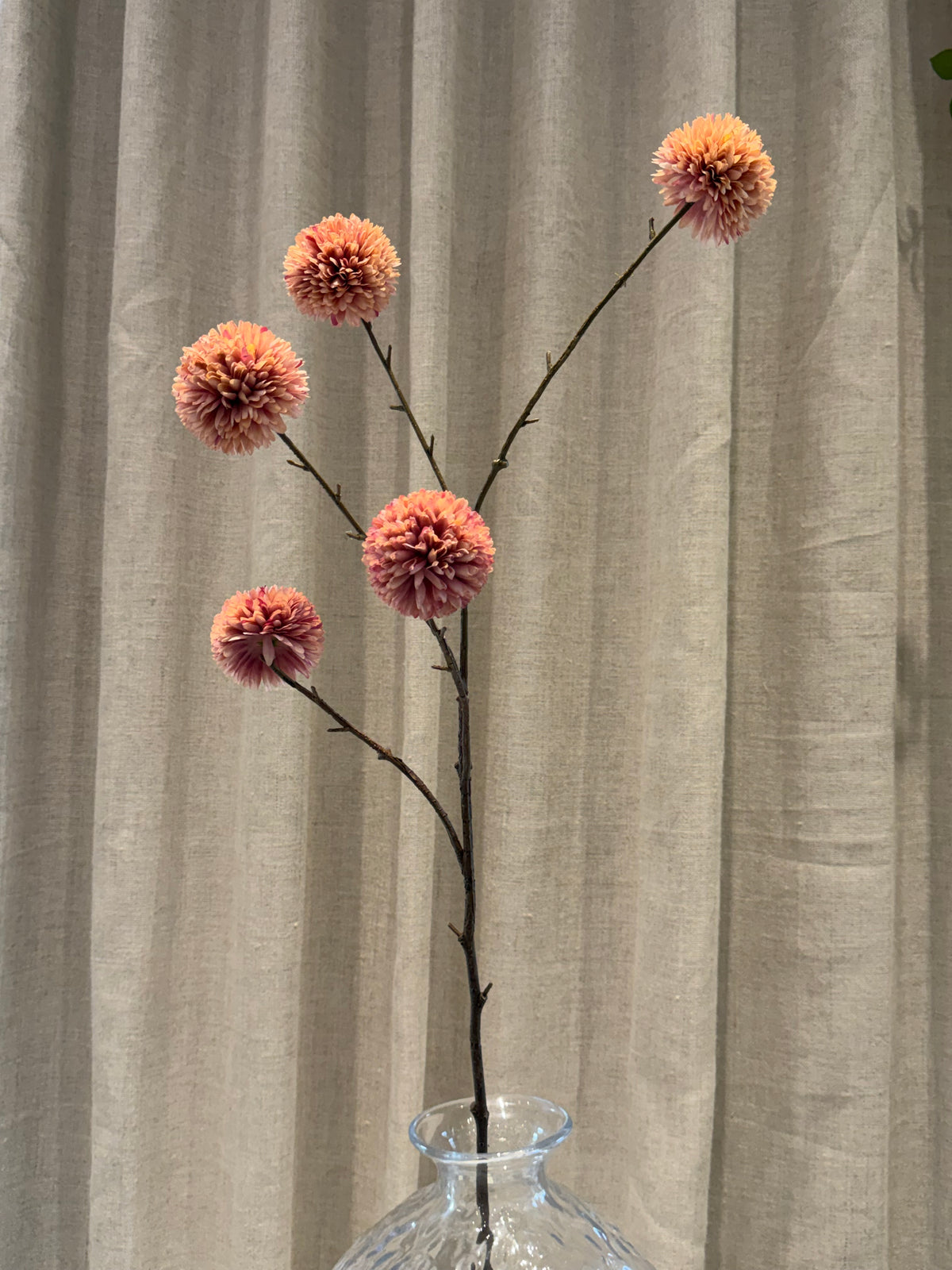 Chrysantheum Gren Rosa H99cm