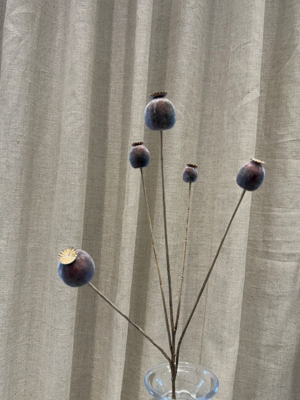 Valmue kapsel H75cm