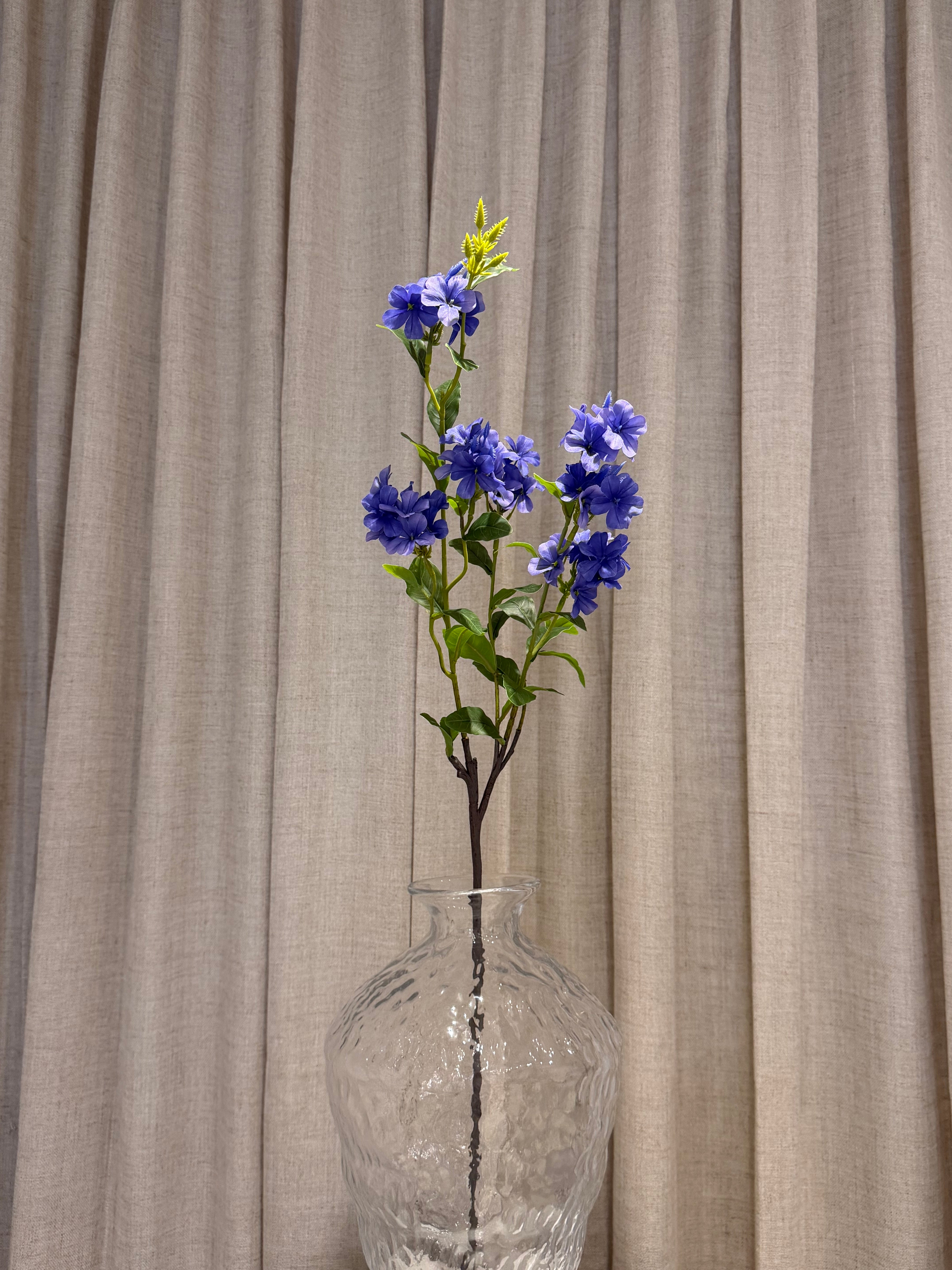 Plumbago gren 87cm