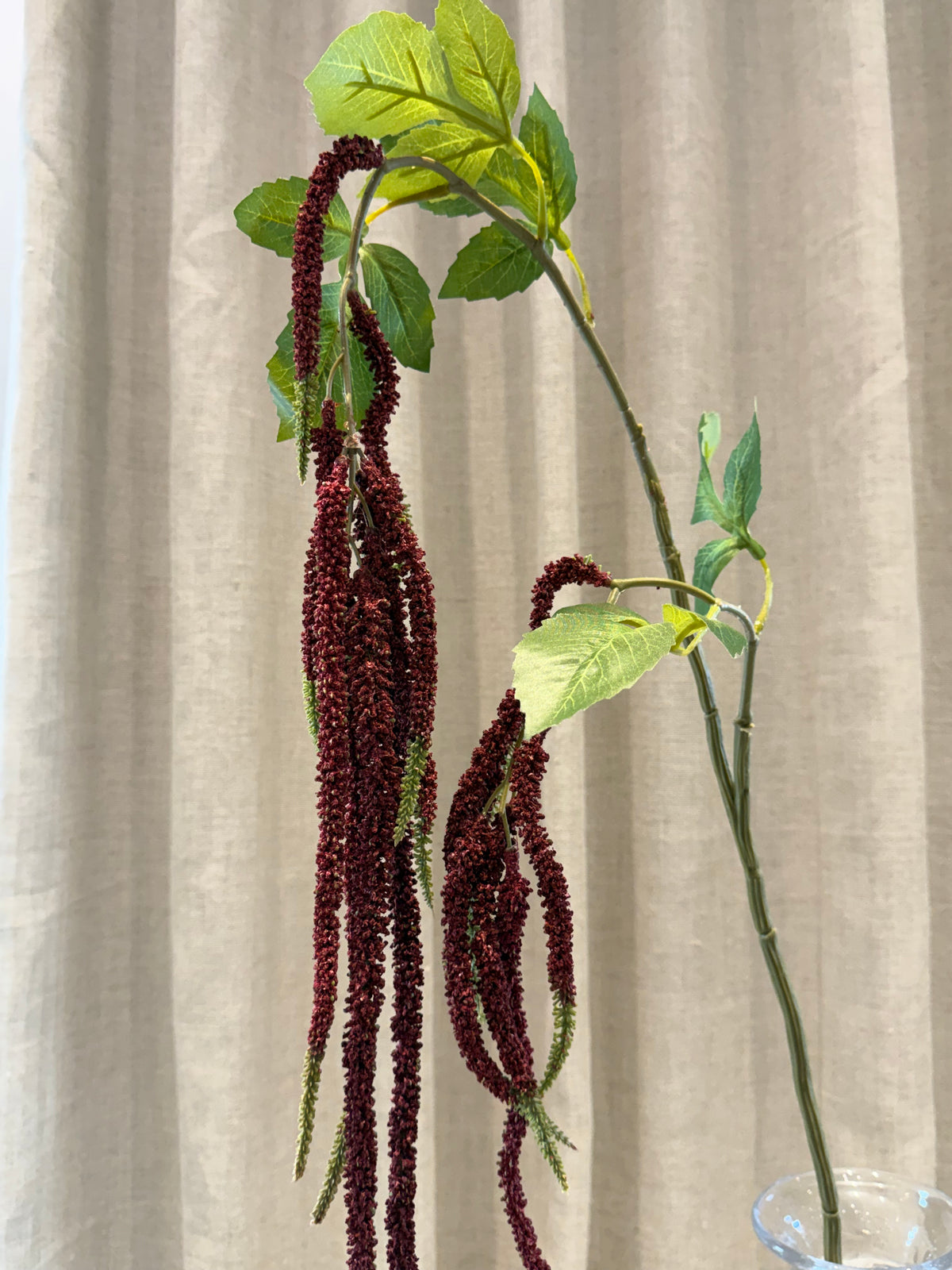 Hænge Amaranthus 85cm Bordeaux