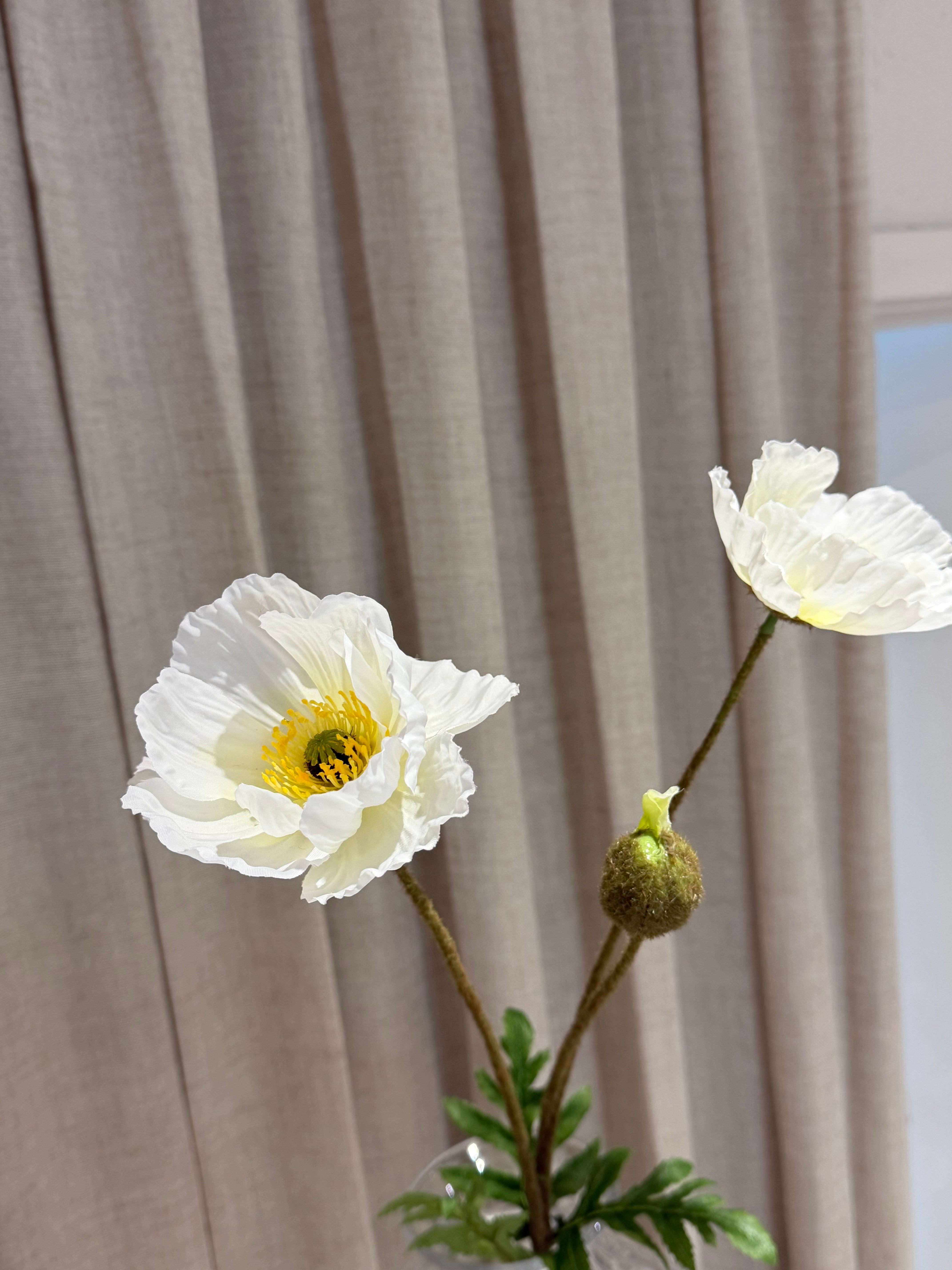 Valmue 80cm
