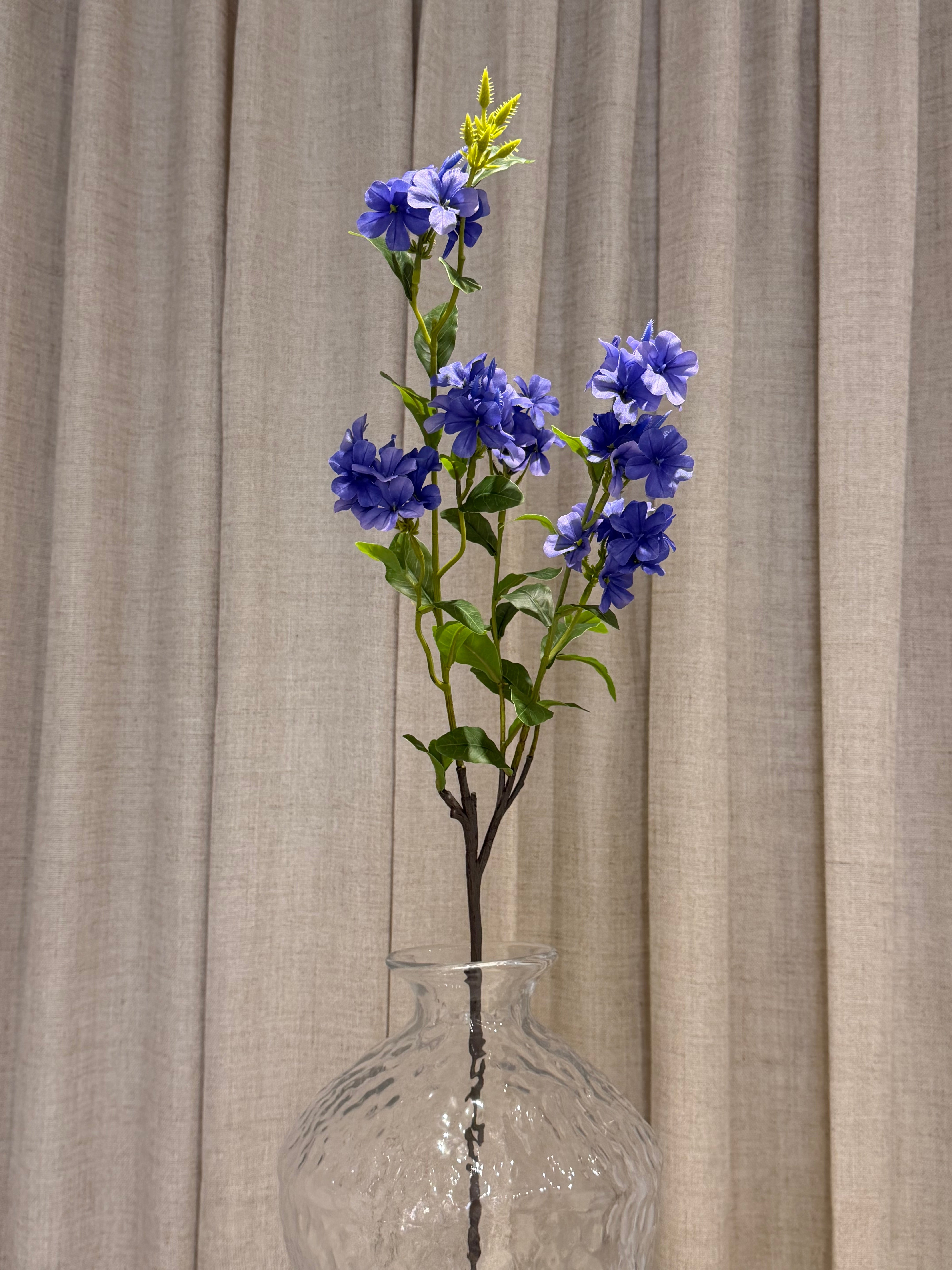 Plumbago gren 87cm