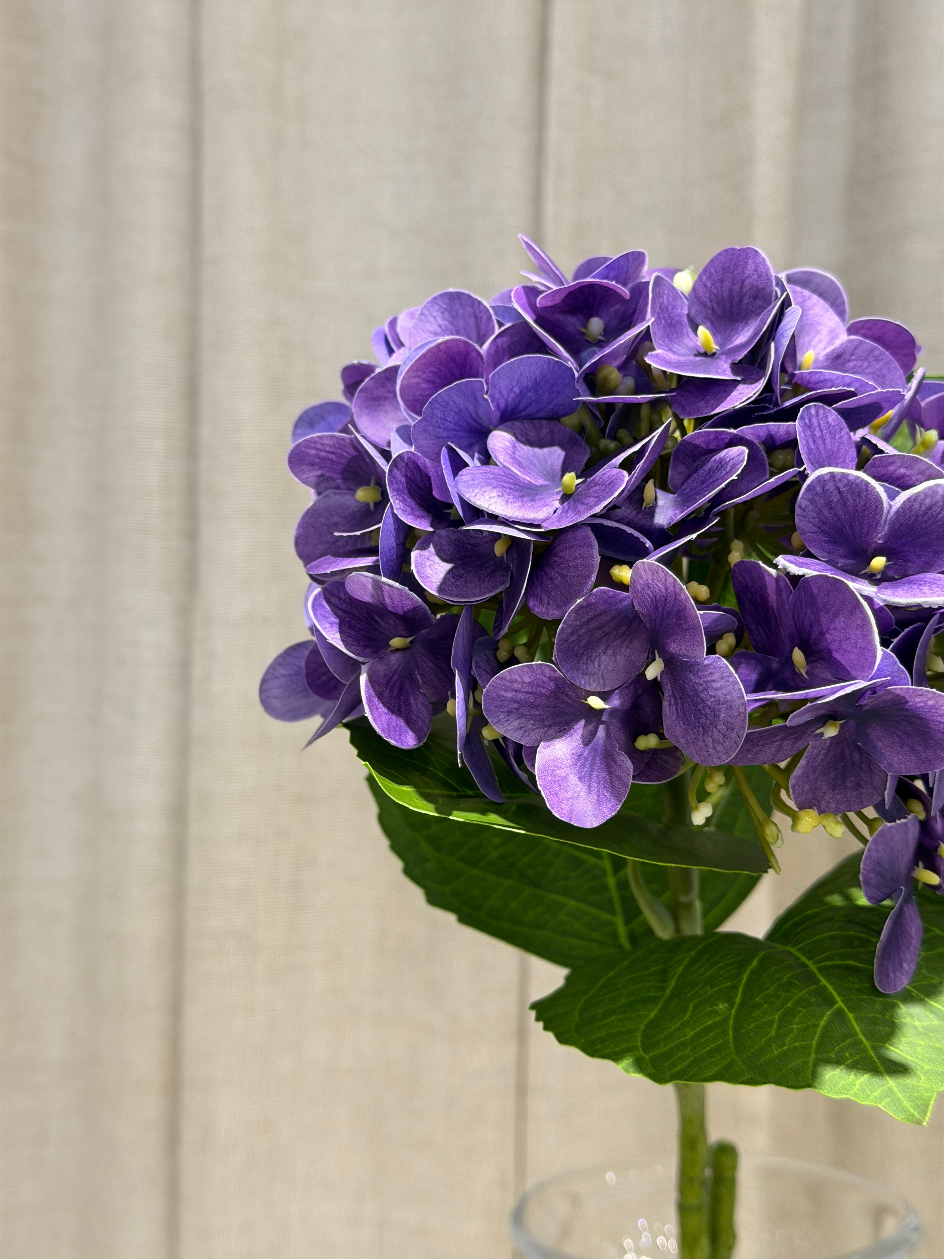 Lilla hortensia 60cm