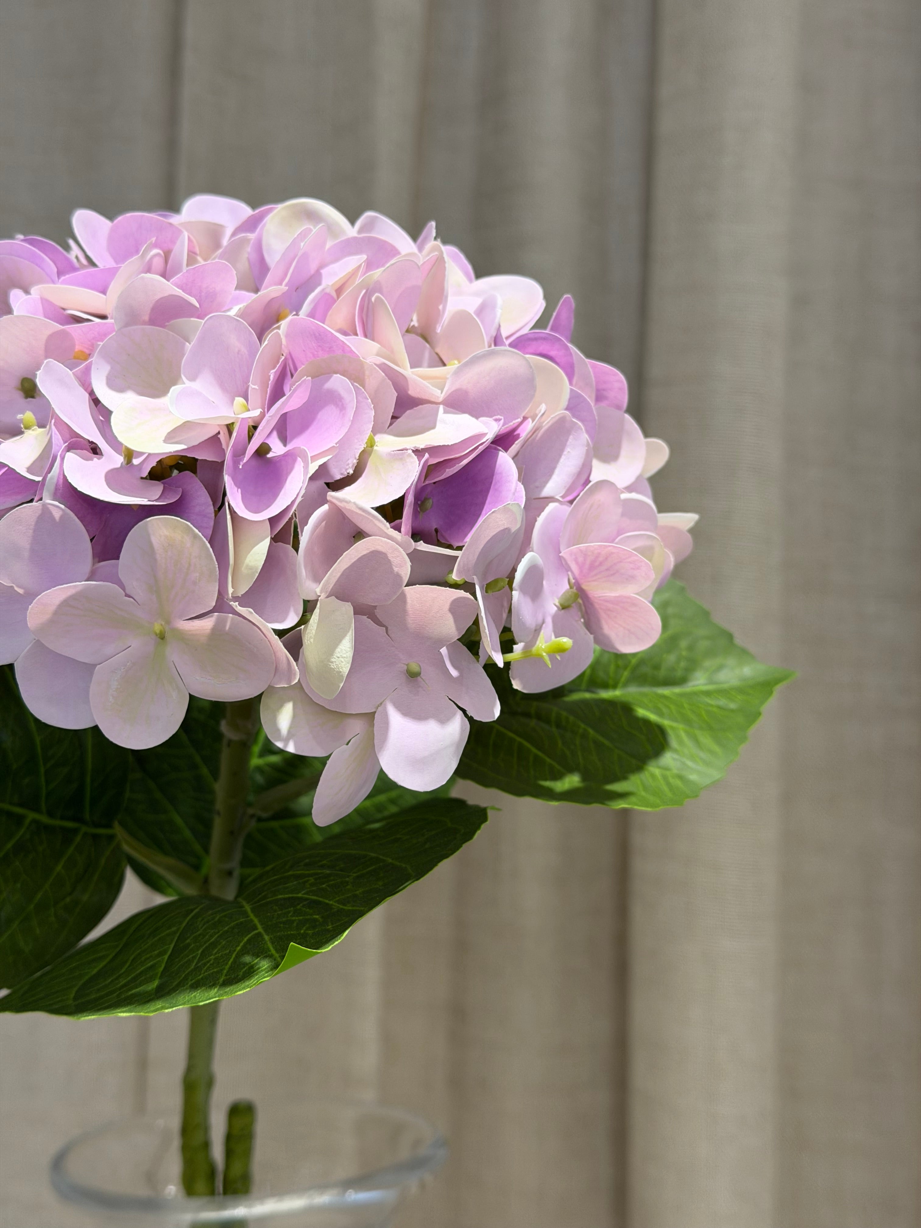 Lys lilla hortensia 60cm