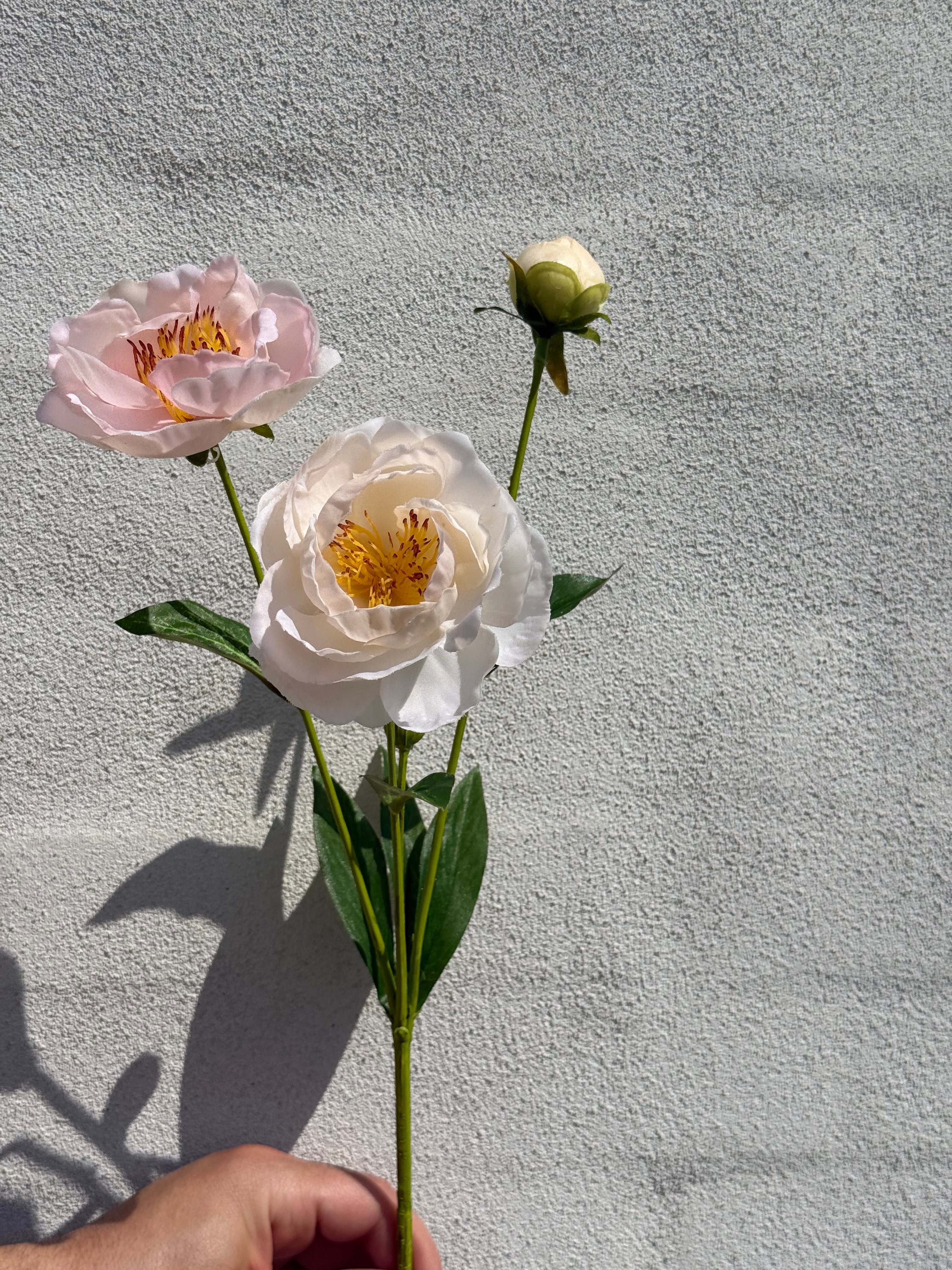 Rose lyserød
