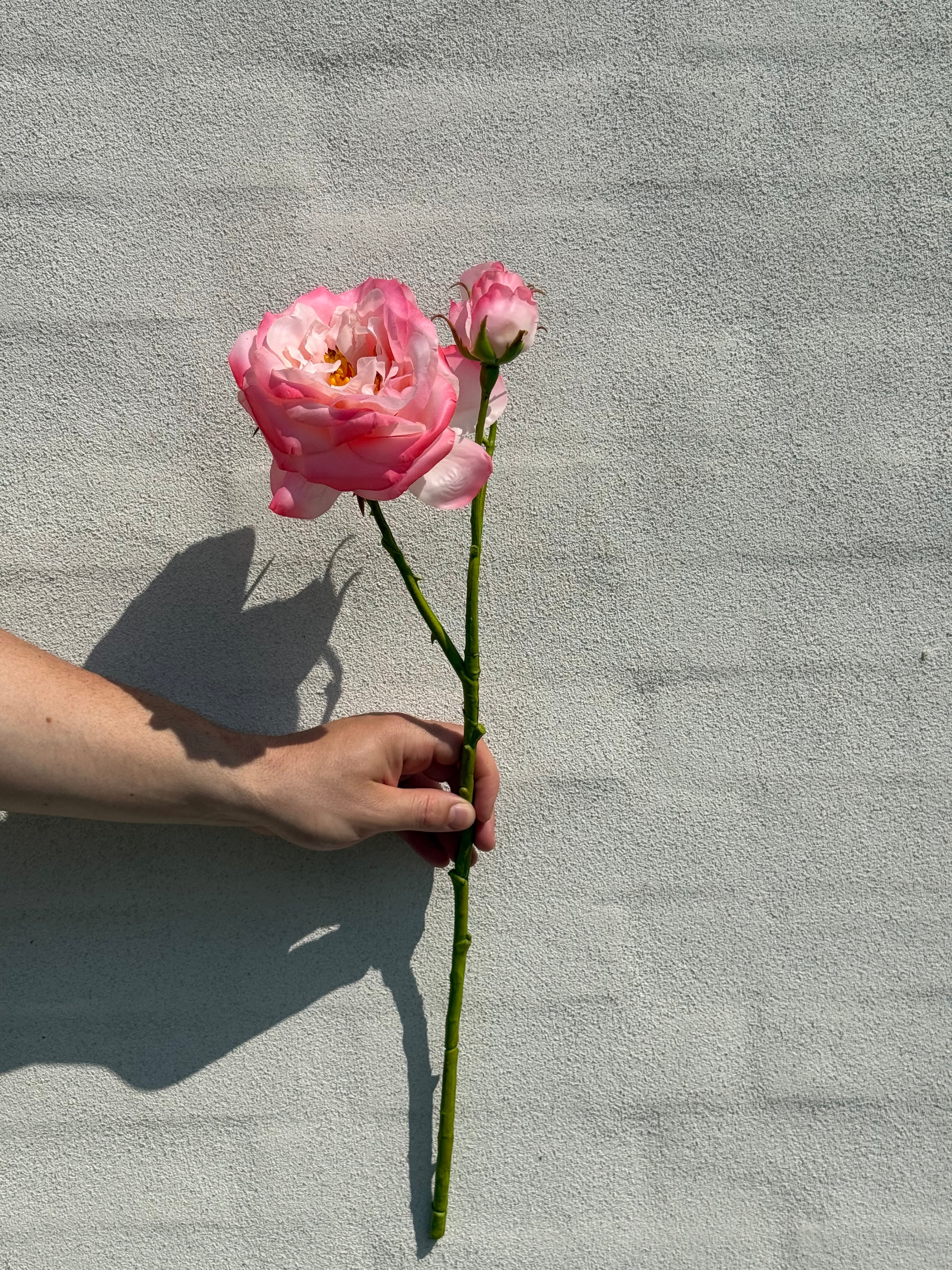 Rose pink