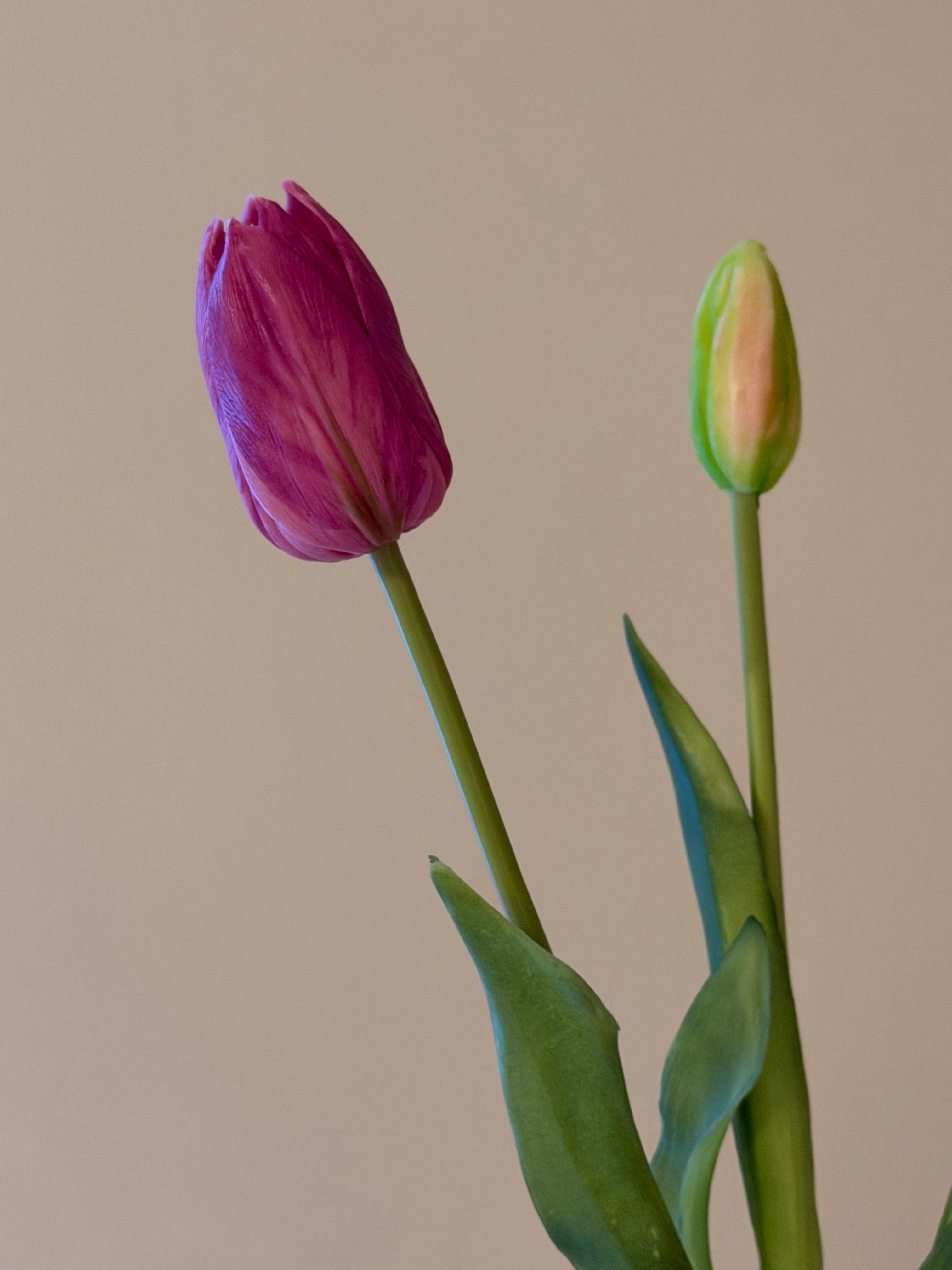 Lang tulipan bundt m. 3 stk