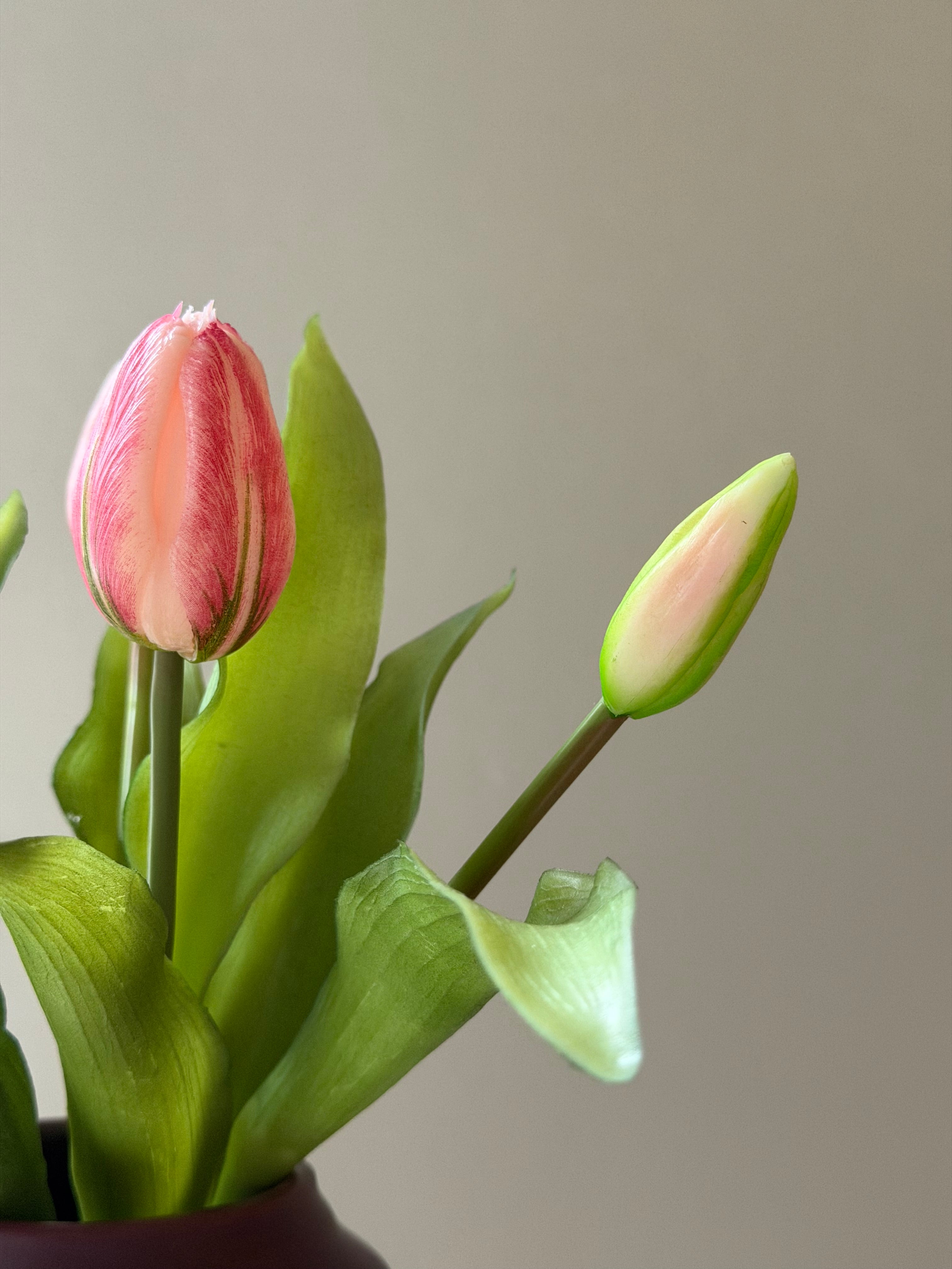 Tulipan bundt m. 5 stk