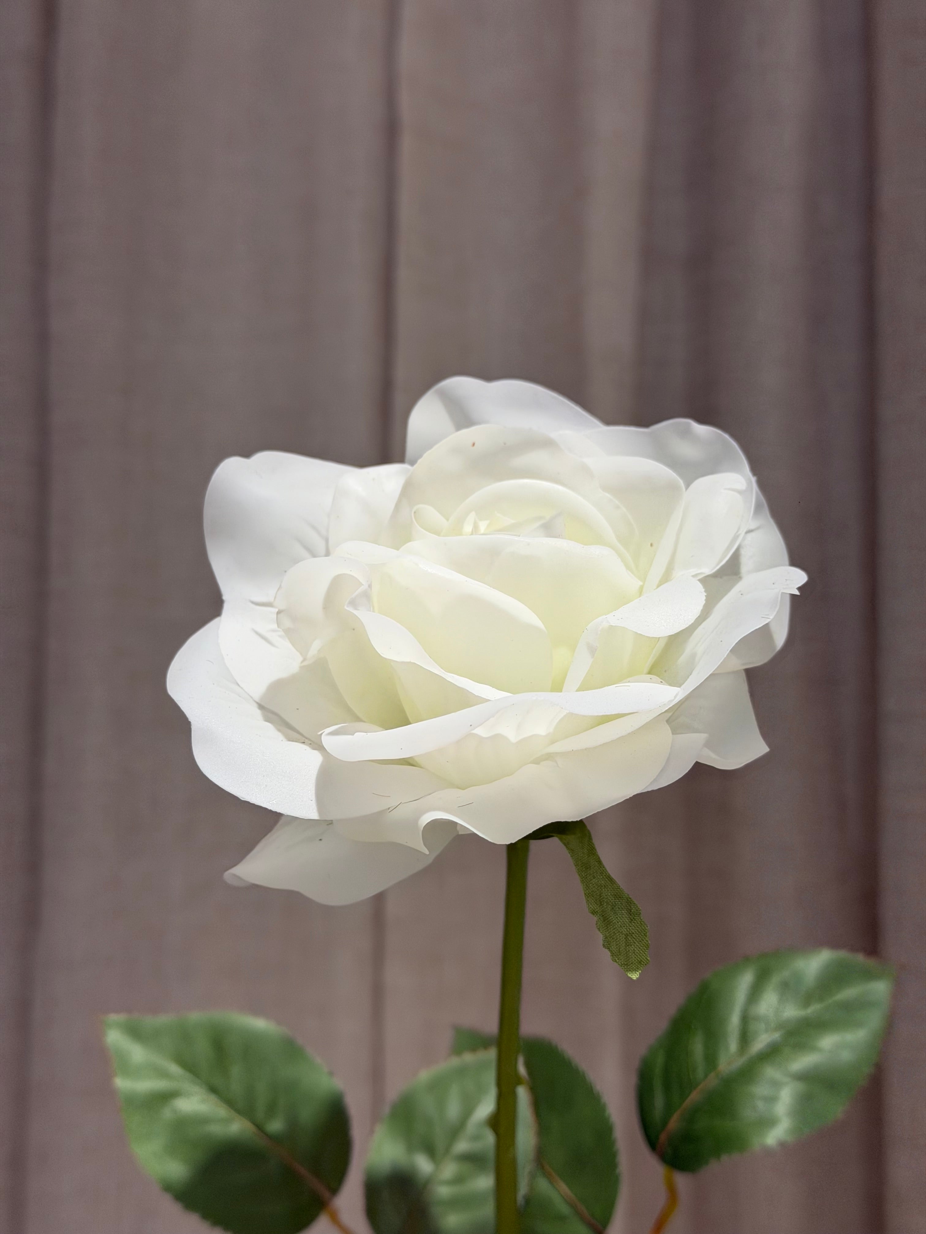 Rose med real touch 70cm