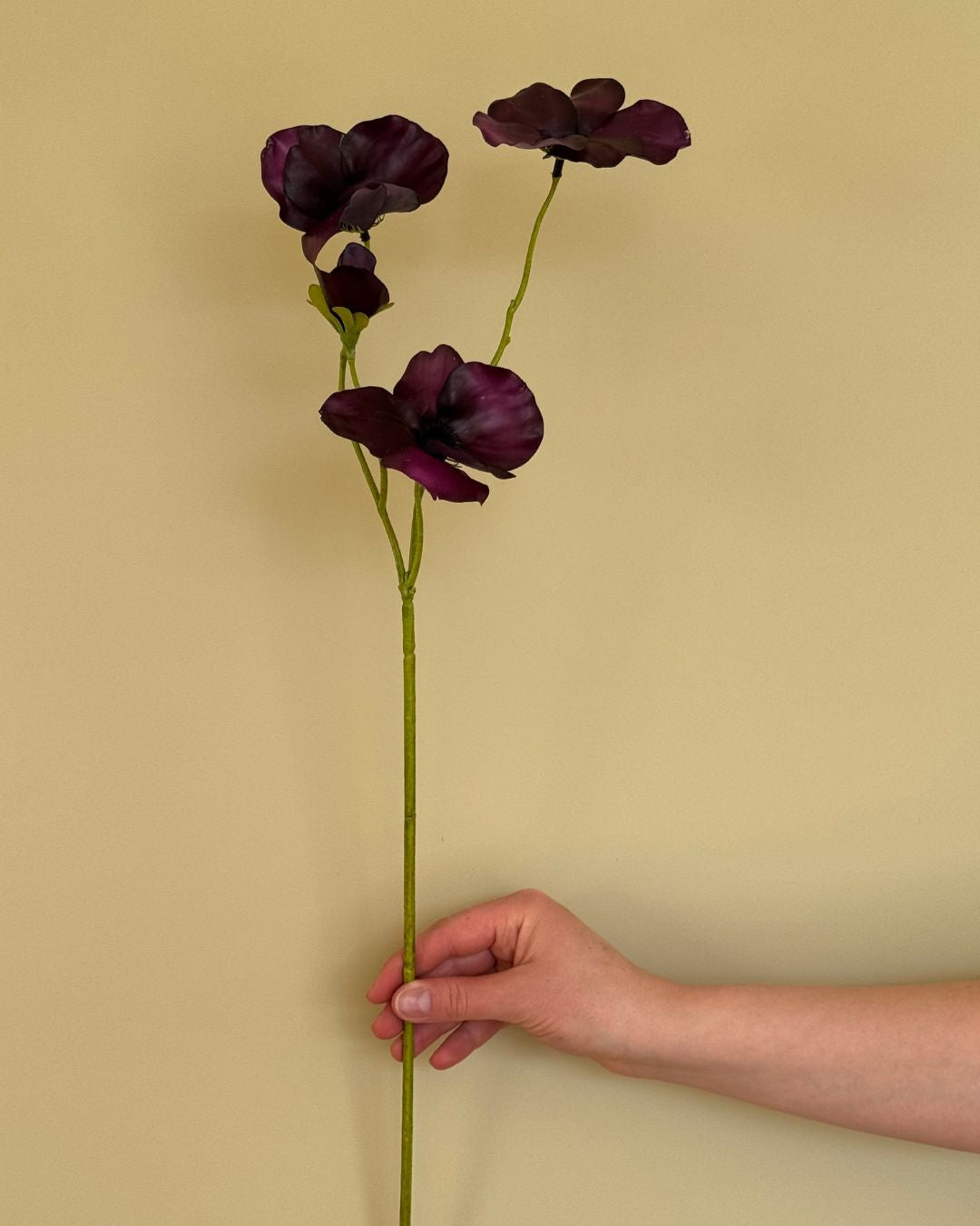 Stedmoderblomst - Lilla - 63 cm