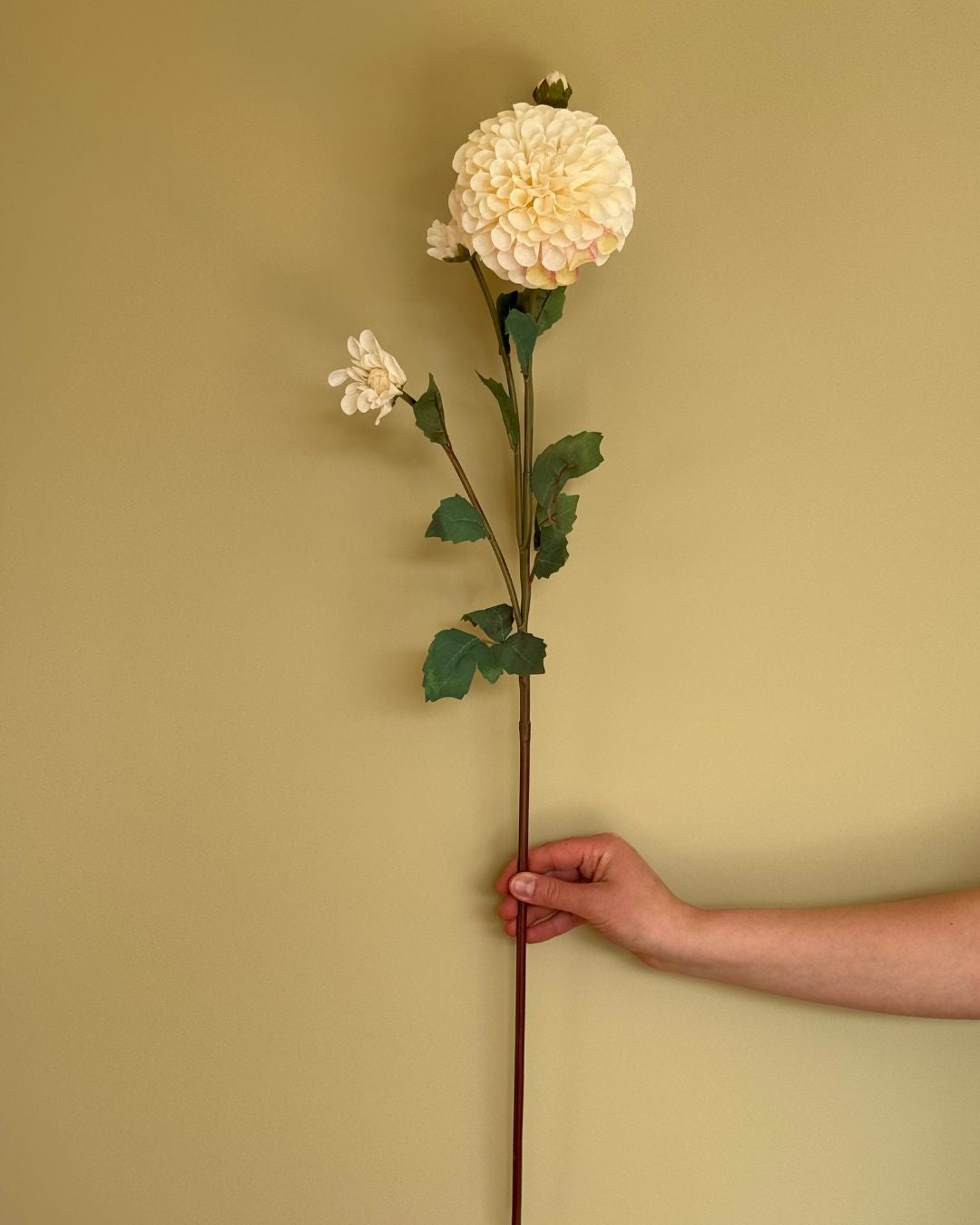 Dahlia Creme - 80 cm