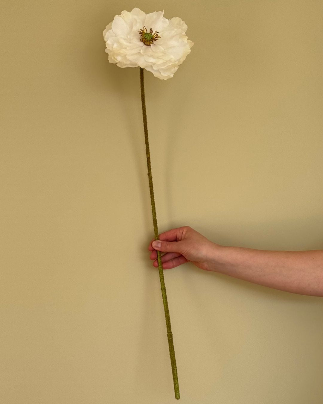 Poppy - Creme - 80 cm