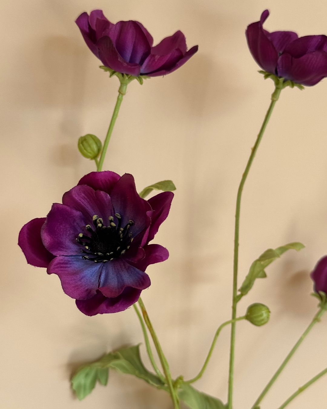 Anemone Mørk Lilla - 80 cm