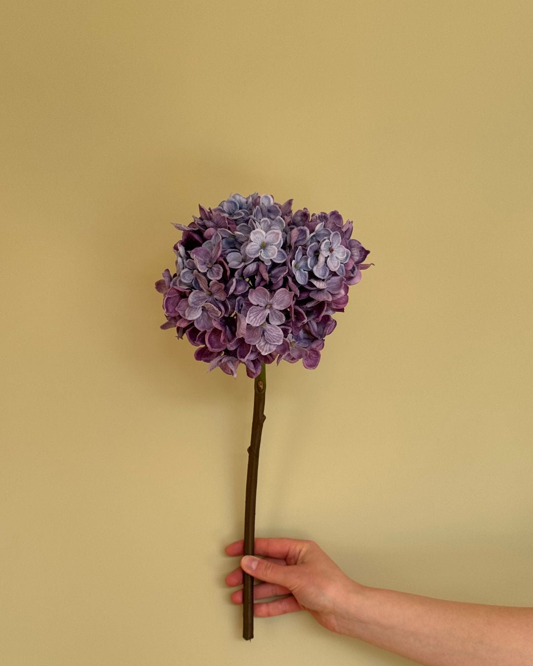 Lilla Hortensia - 50 cm