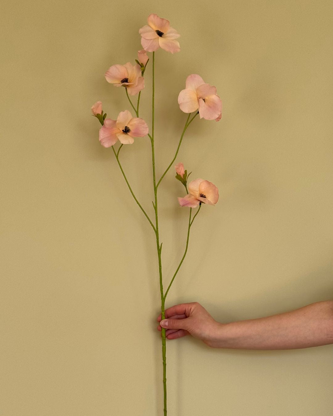 Stedmoderblomst - Lyserød/Peach 103 cm