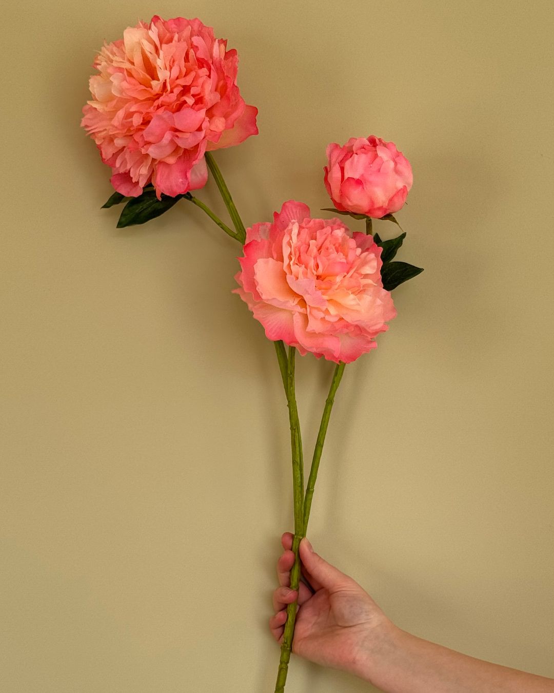 Peony - Peach/Pink - 80 cm