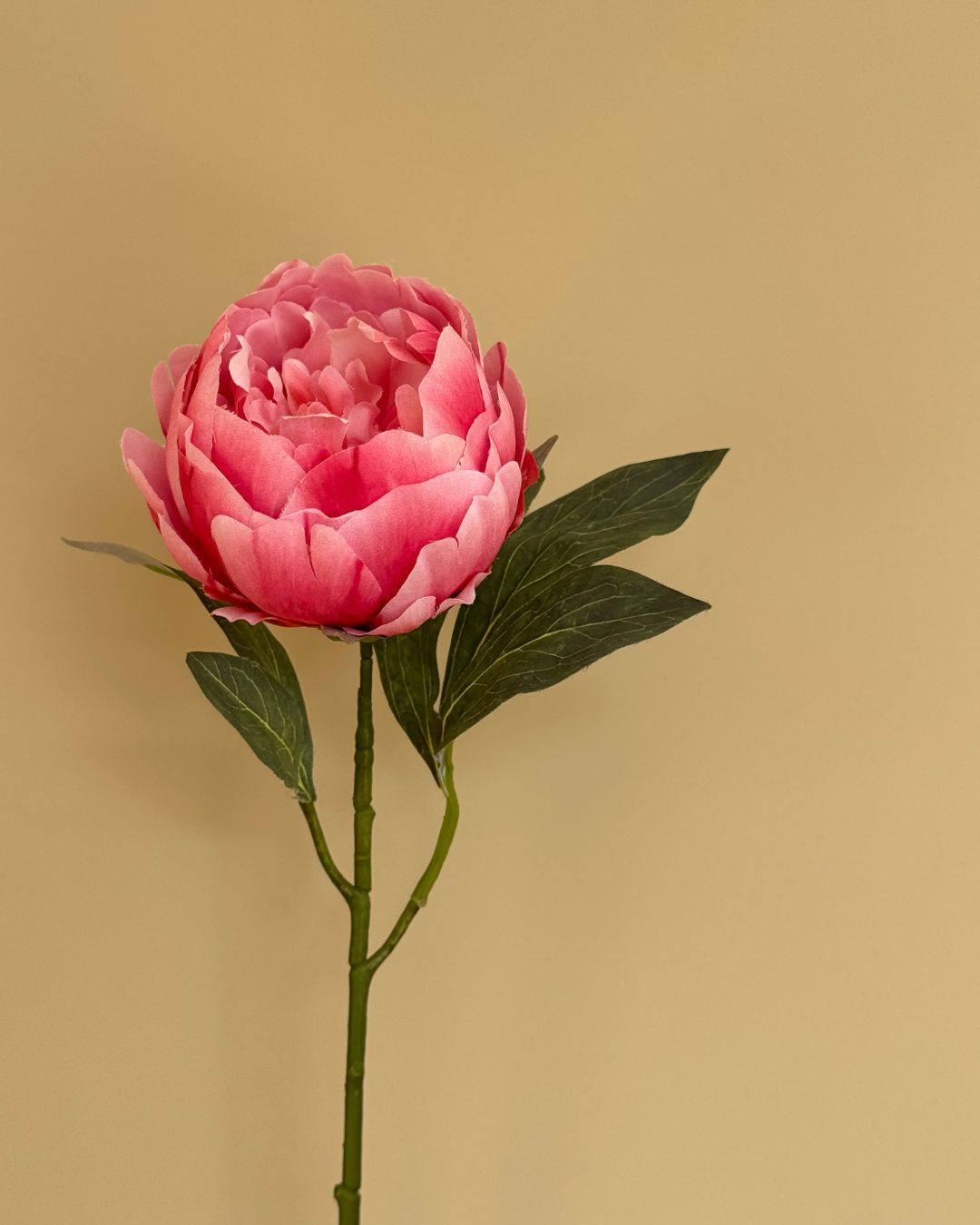 Peony Pink - 55 cm