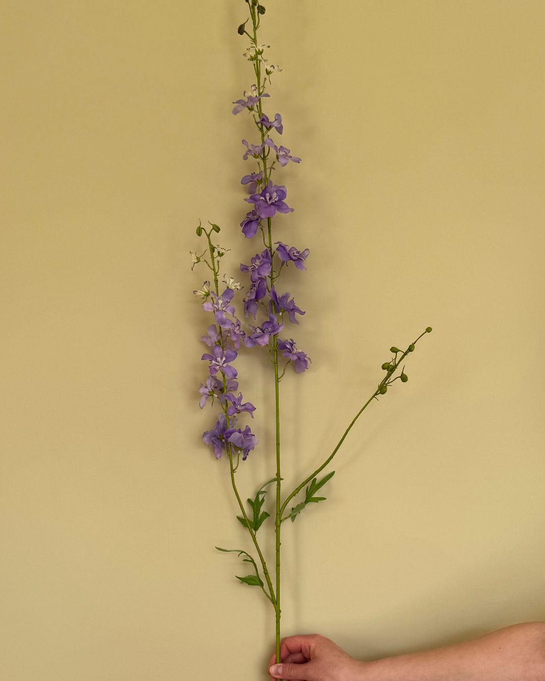 Ridderspore - Lilla - 122 cm
