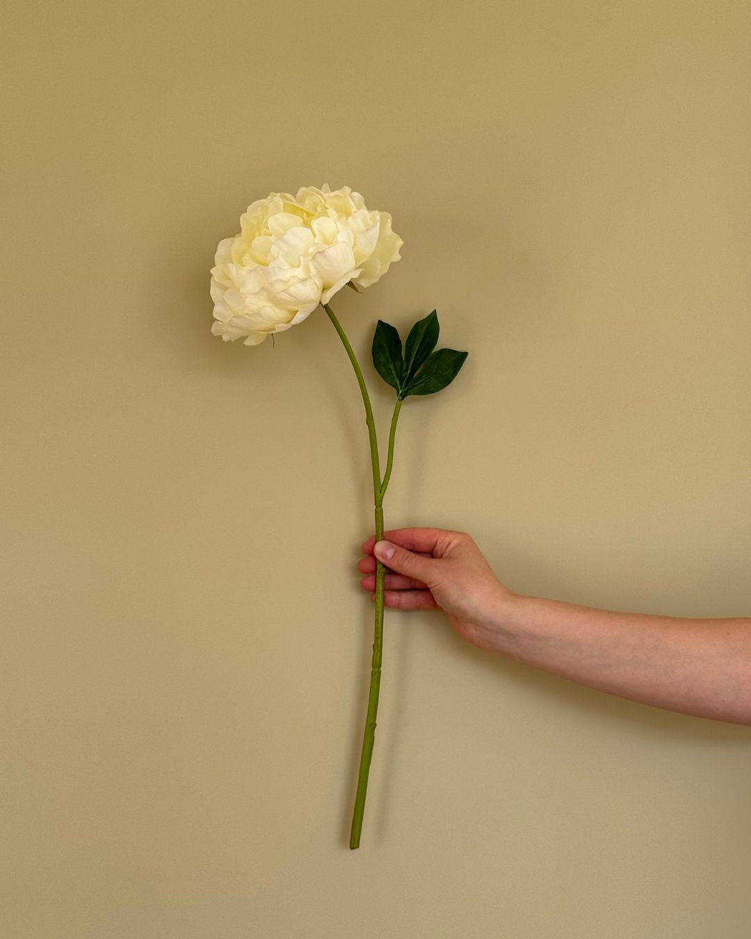 Peony - Hvid - 80 cm