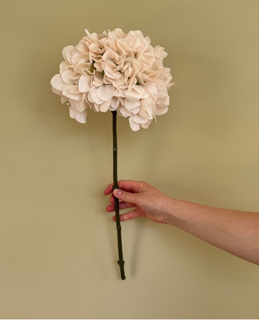 Hortensia - Creme - 50 cm