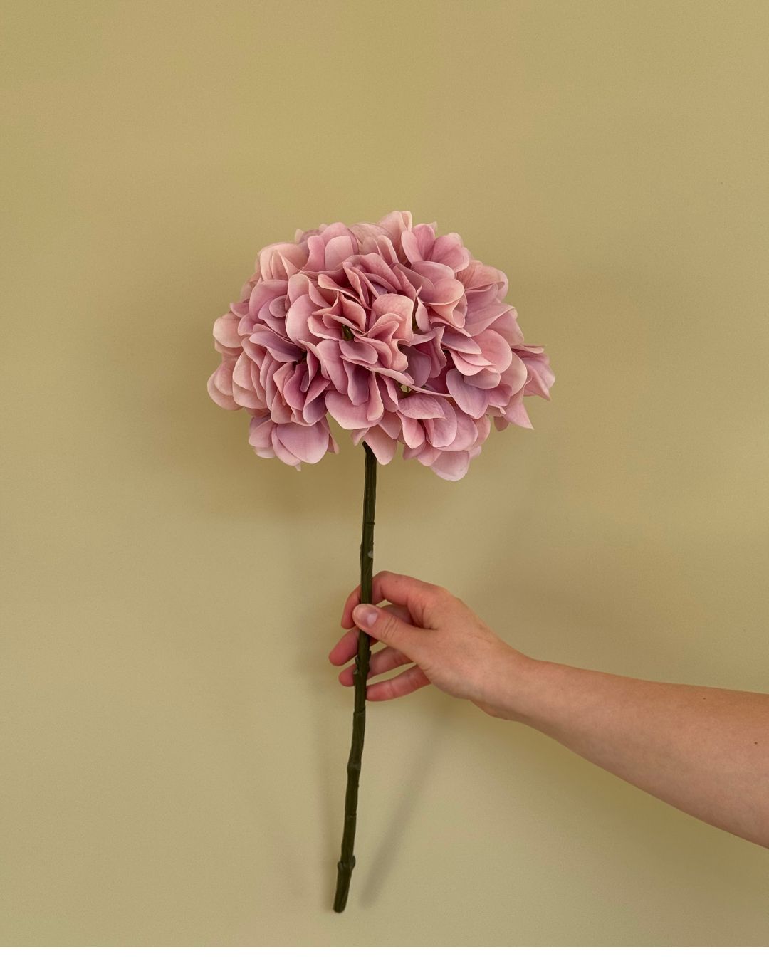 Hortensia - Lyserød - 50 cm