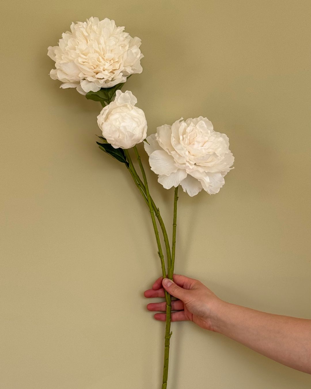 Peony - Hvid - 150 cm.