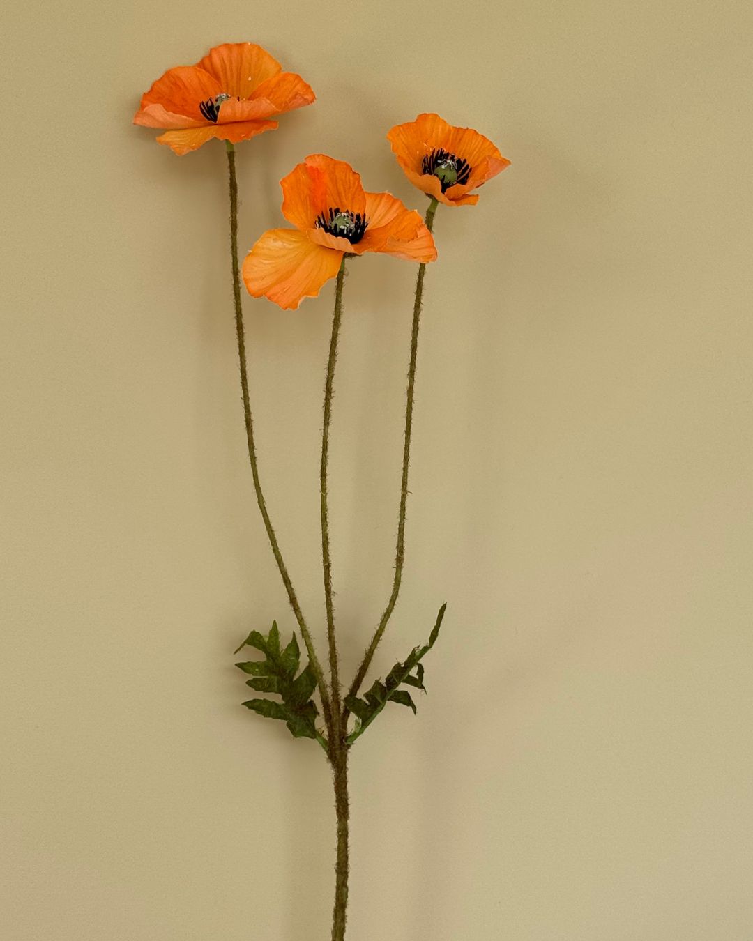 Poppy - Orange - 74 cm