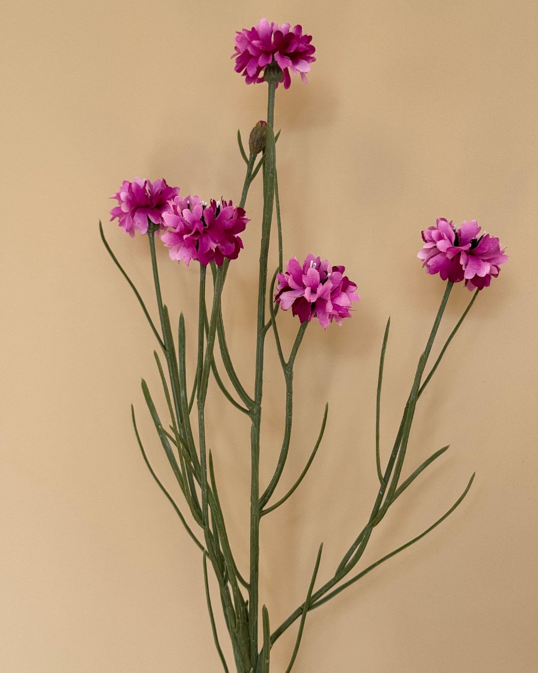 Kornblomst Lilla - 65 cm