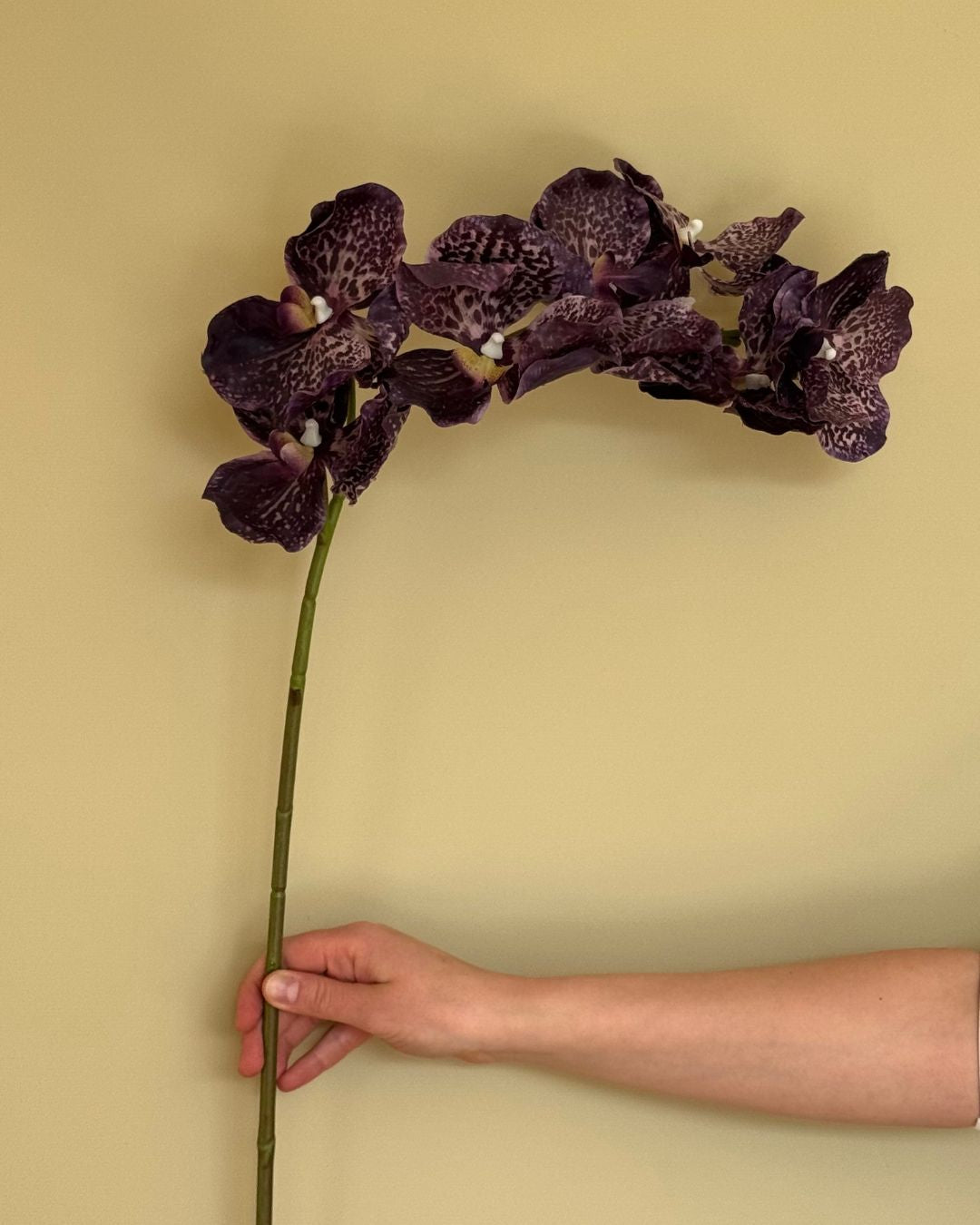 Orkide Lilla - 85 cm