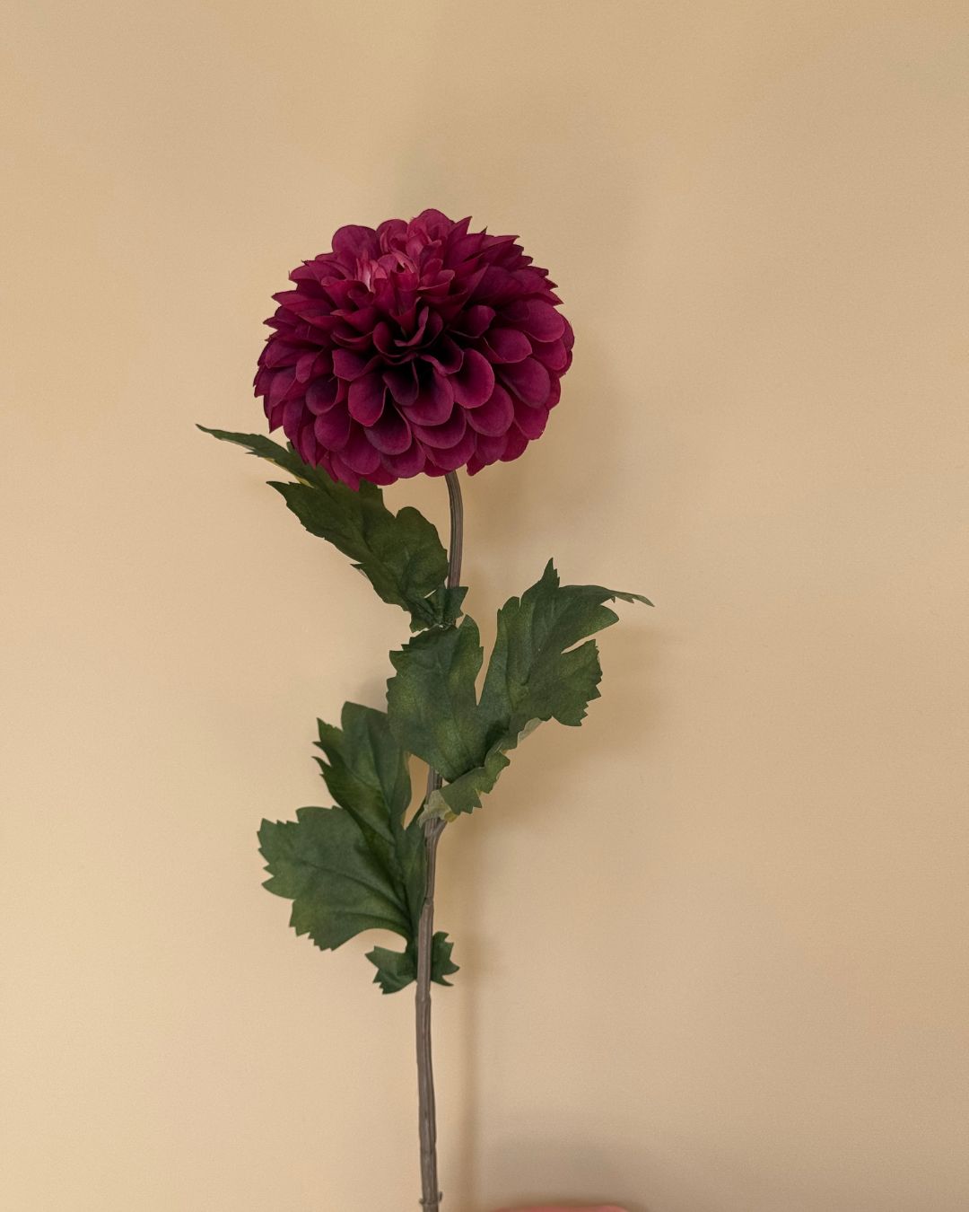 Dahlia Mørk Lilla - 75 cm