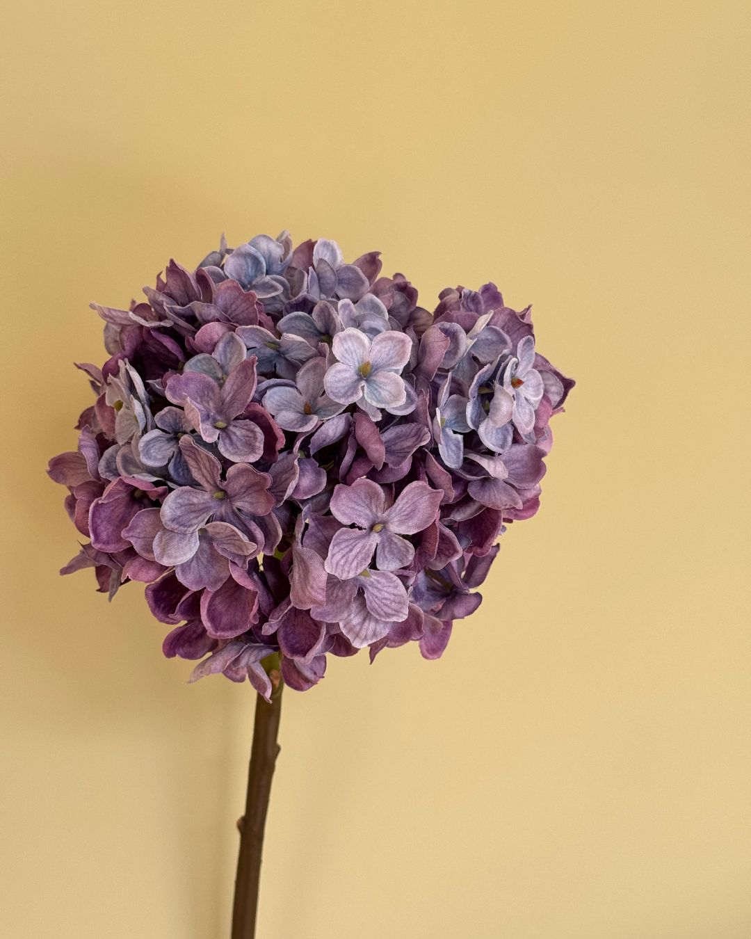 Lilla Hortensia - 50 cm