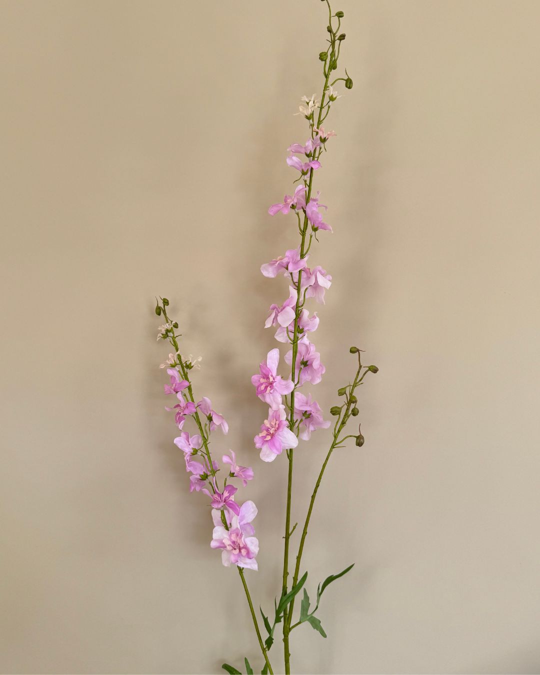 Ridderspore - Lyserød - 122 cm