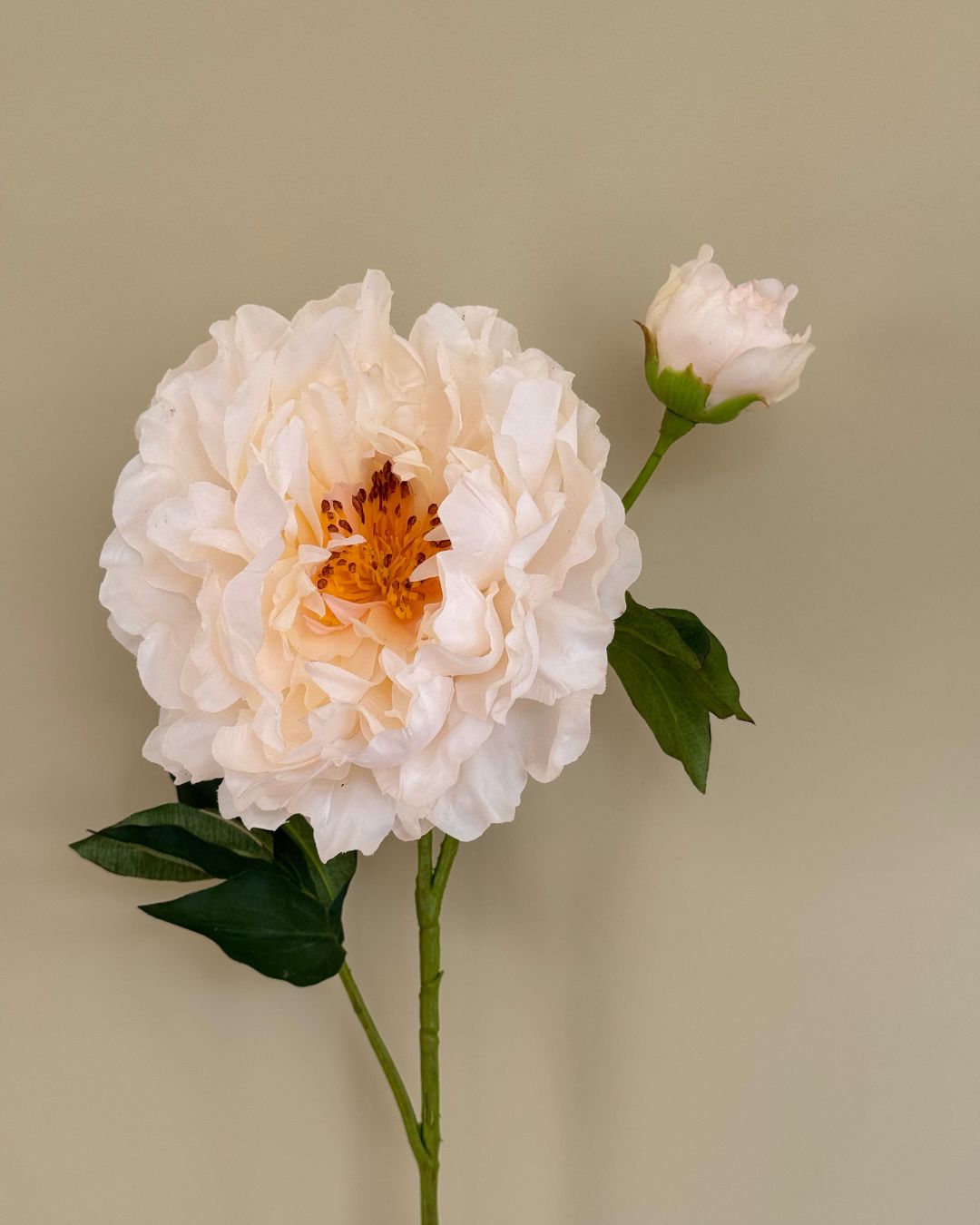 Peony - Creme - 79 cm