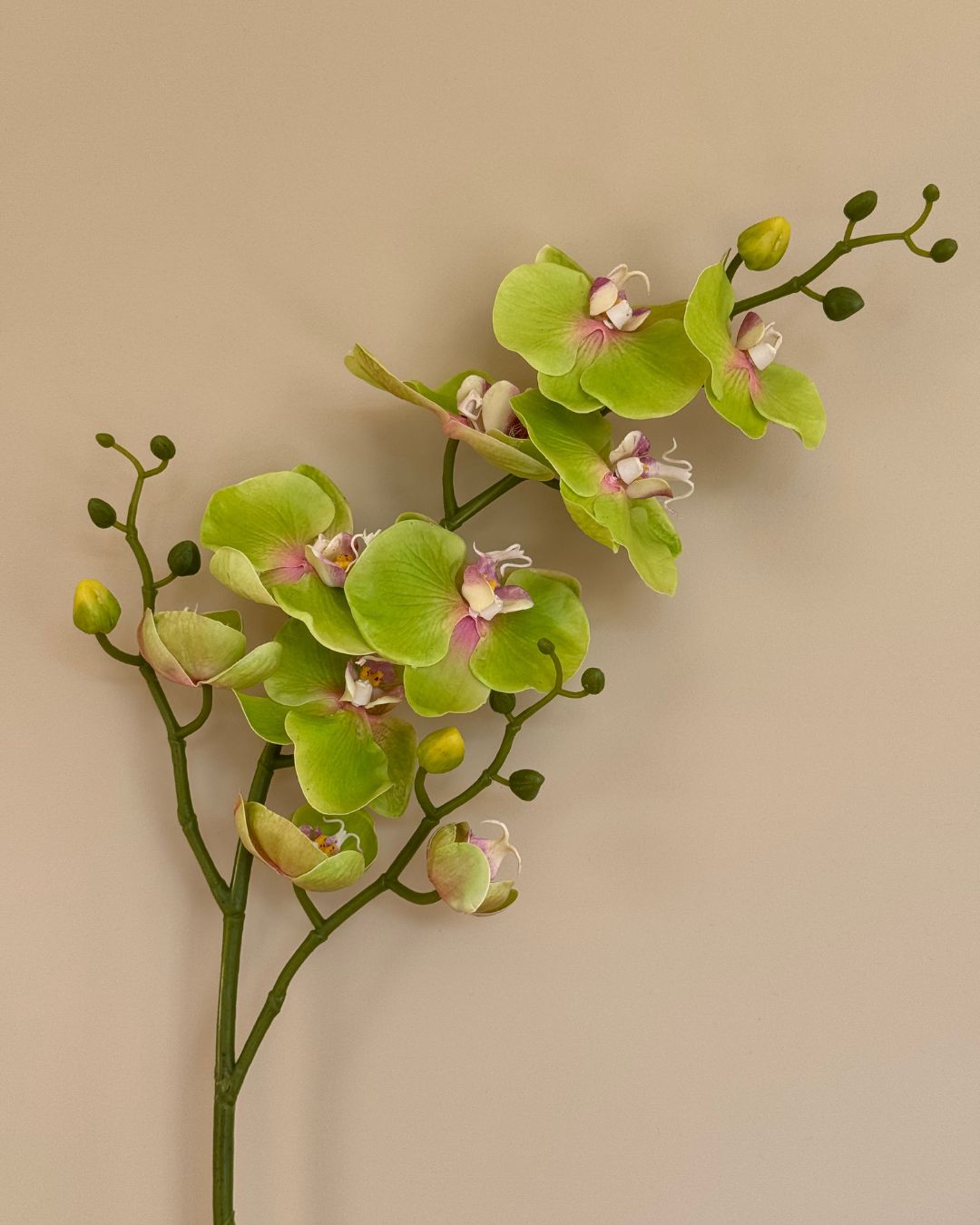 Grøn Orkide - 89 cm