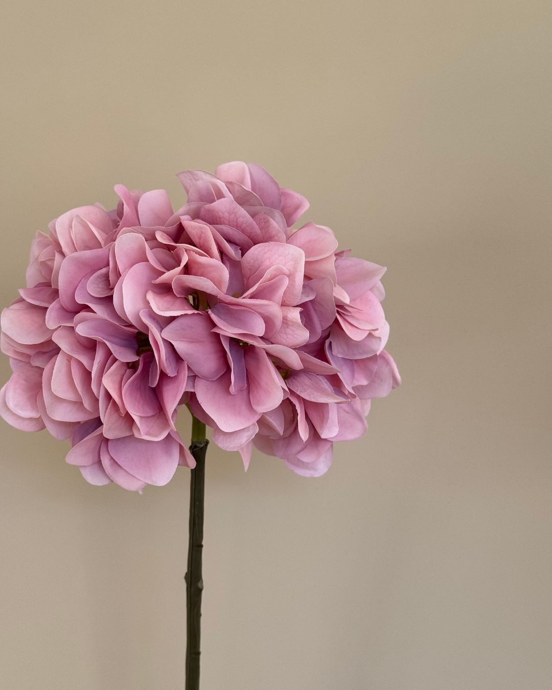 Hortensia - Lyserød - 50 cm