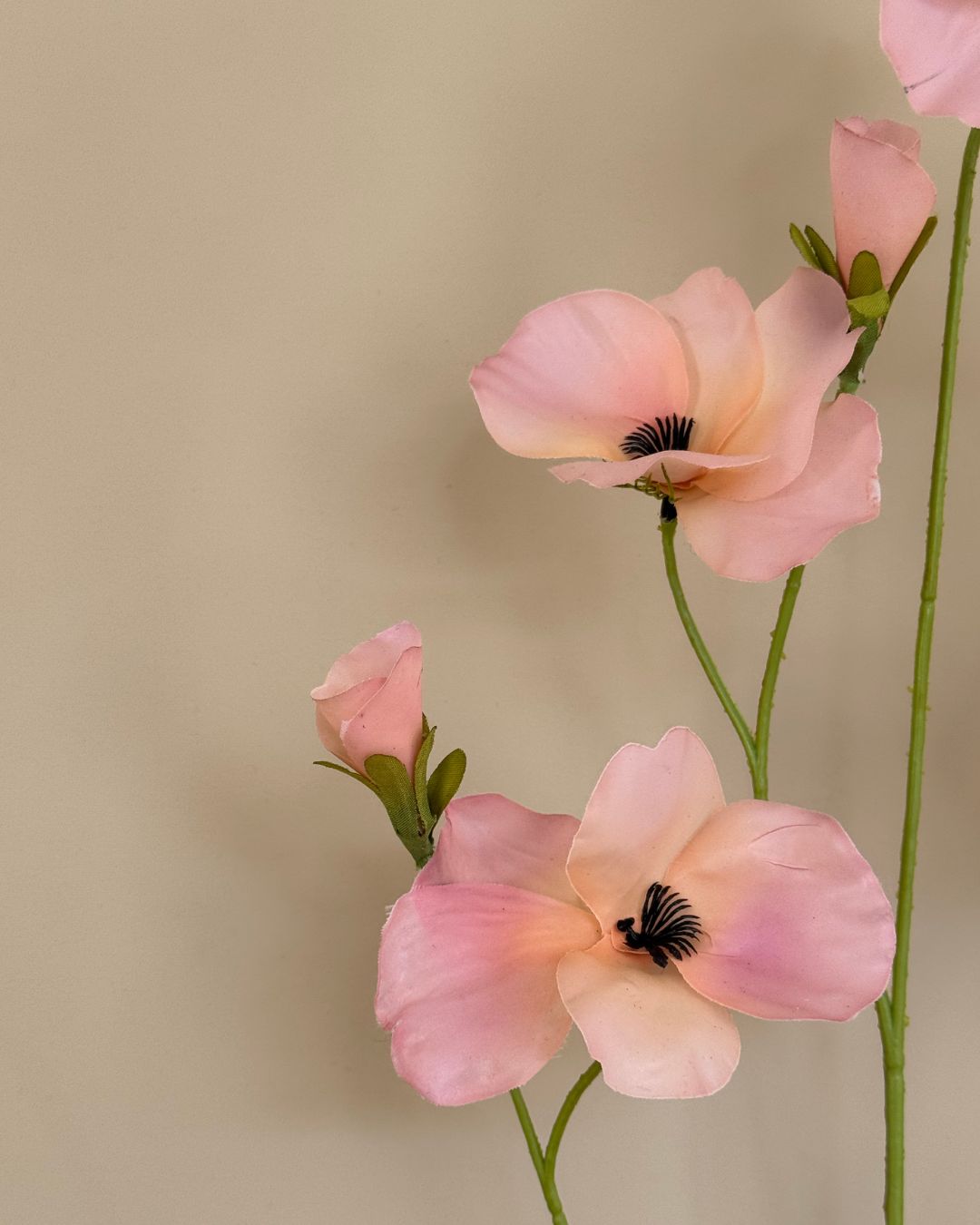 Stedmoderblomst - Lyserød/Peach 103 cm