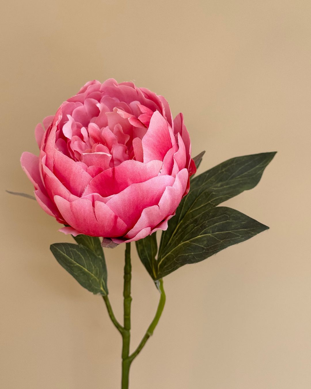 Peony Pink - 55 cm