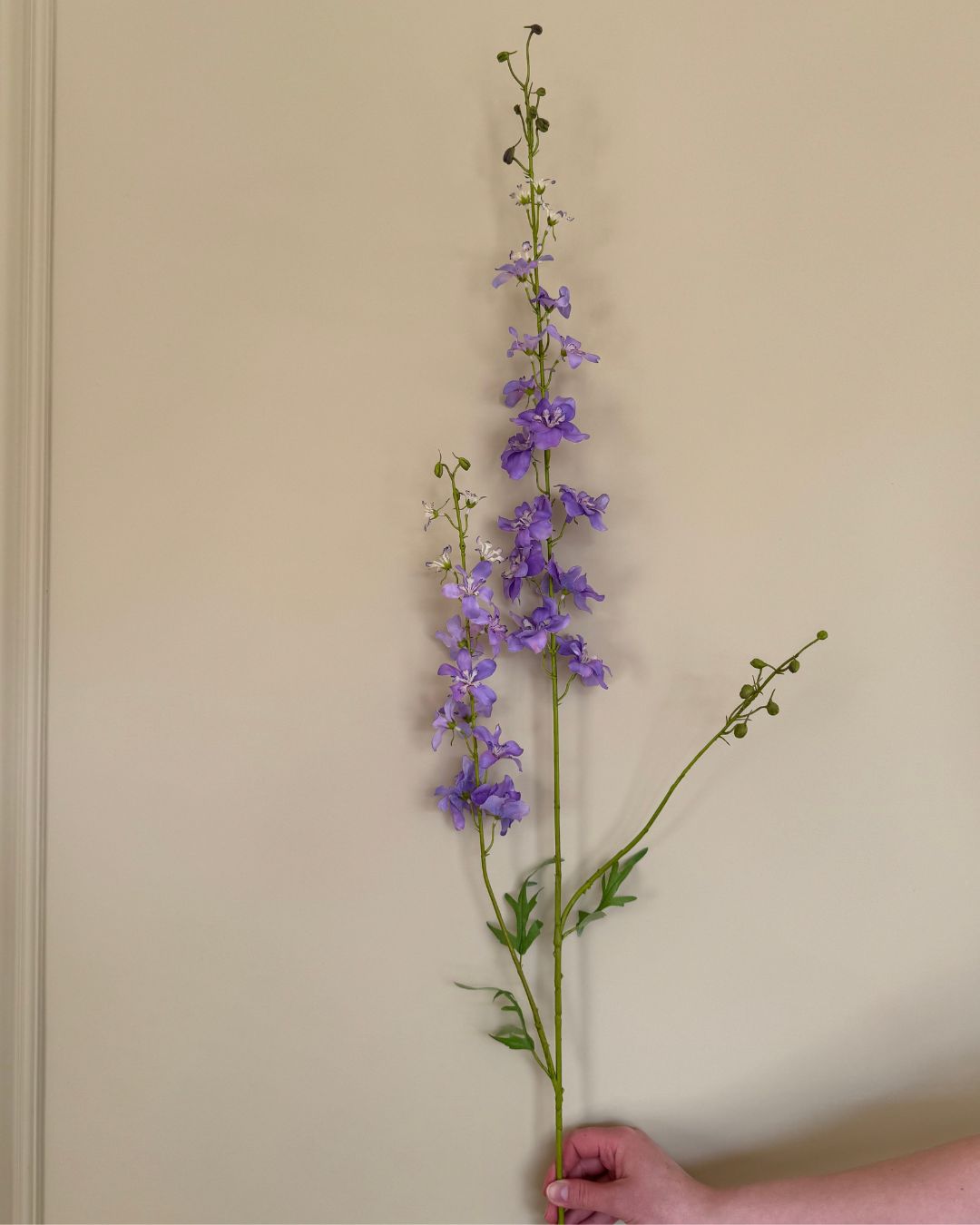 Ridderspore - Lilla - 122 cm