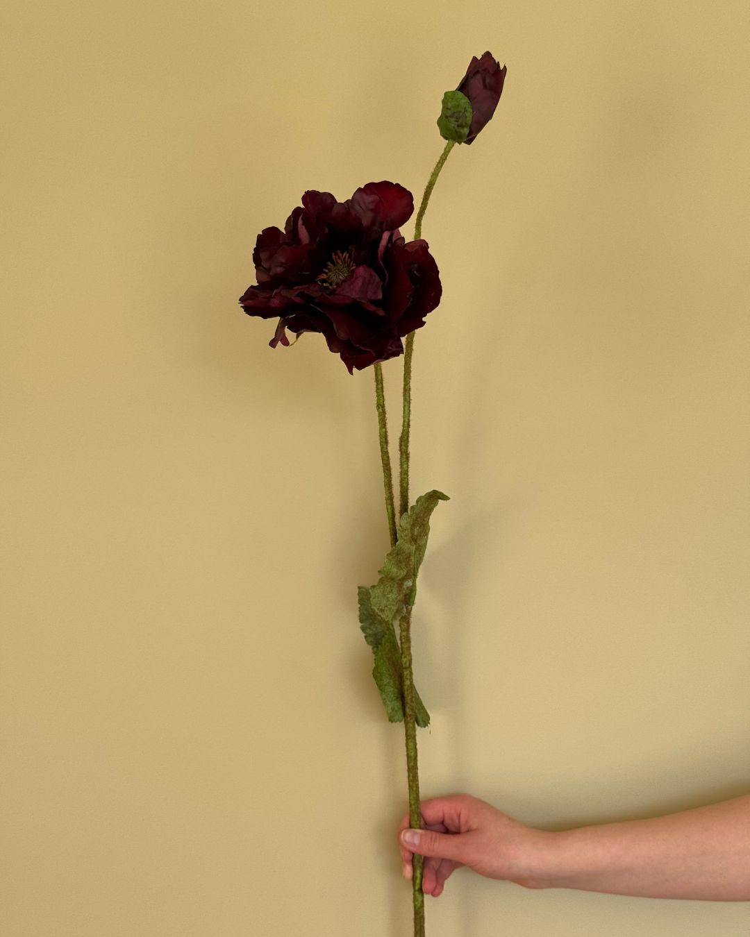 Poppy - Burgundy - 109 cm