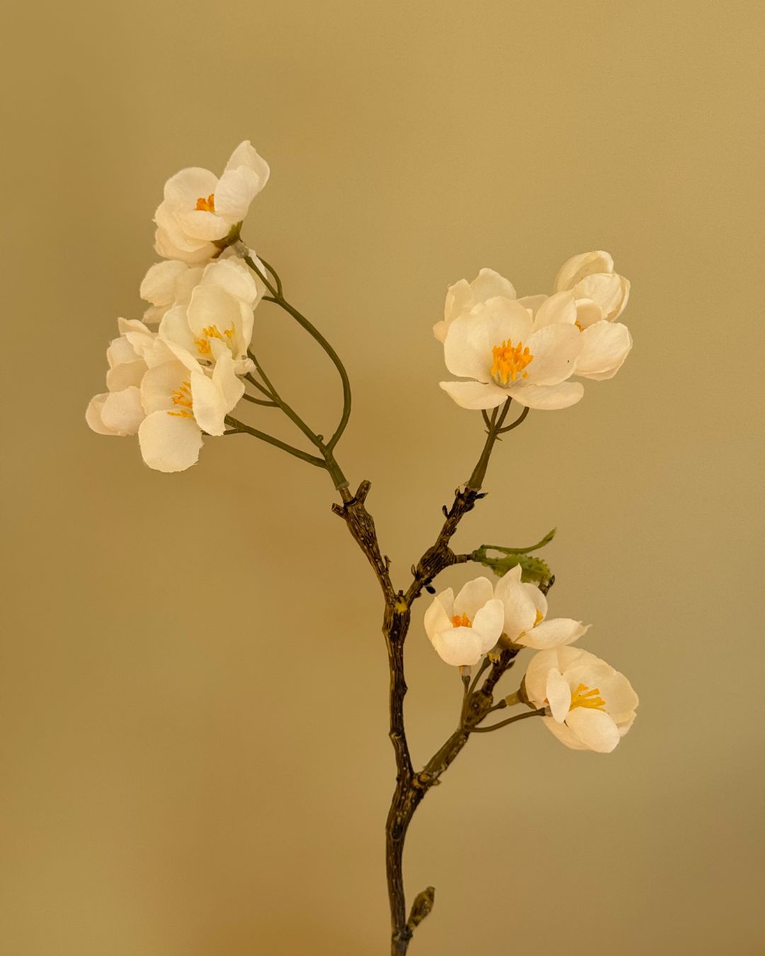 Æbleblomst gren 60 - cm